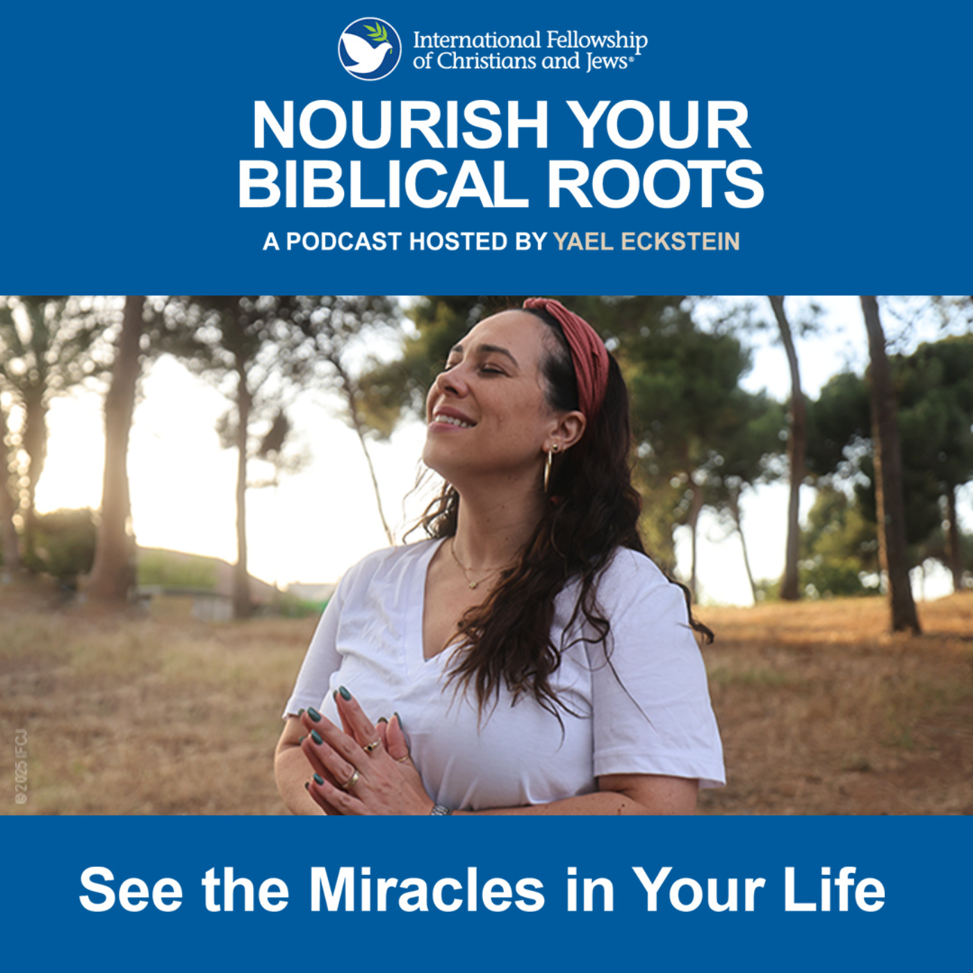 See the Miracles in Your Life See the Miracles in Your Life