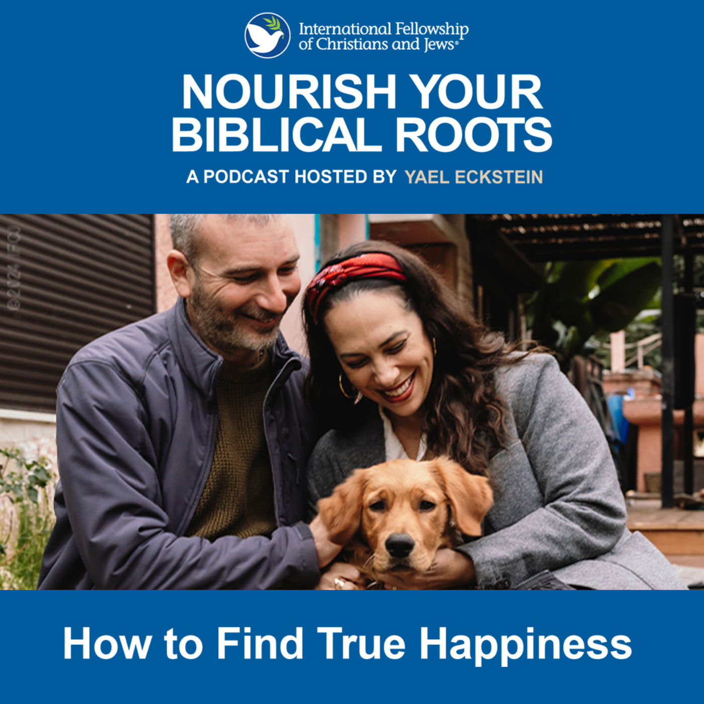 How to Find True Happiness