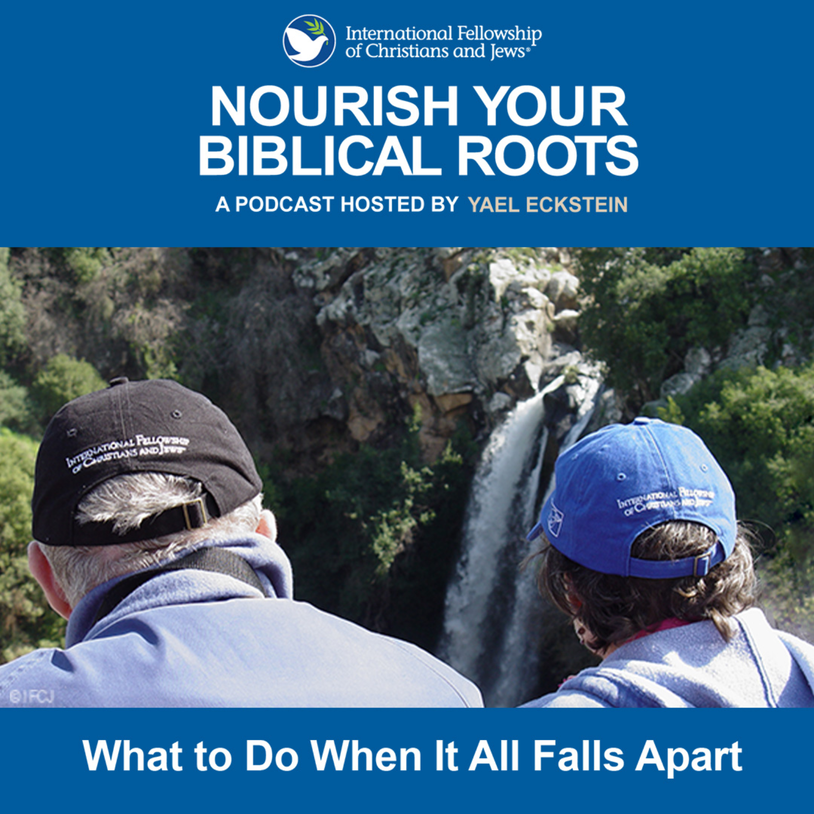 What to Do When It All Falls Apart