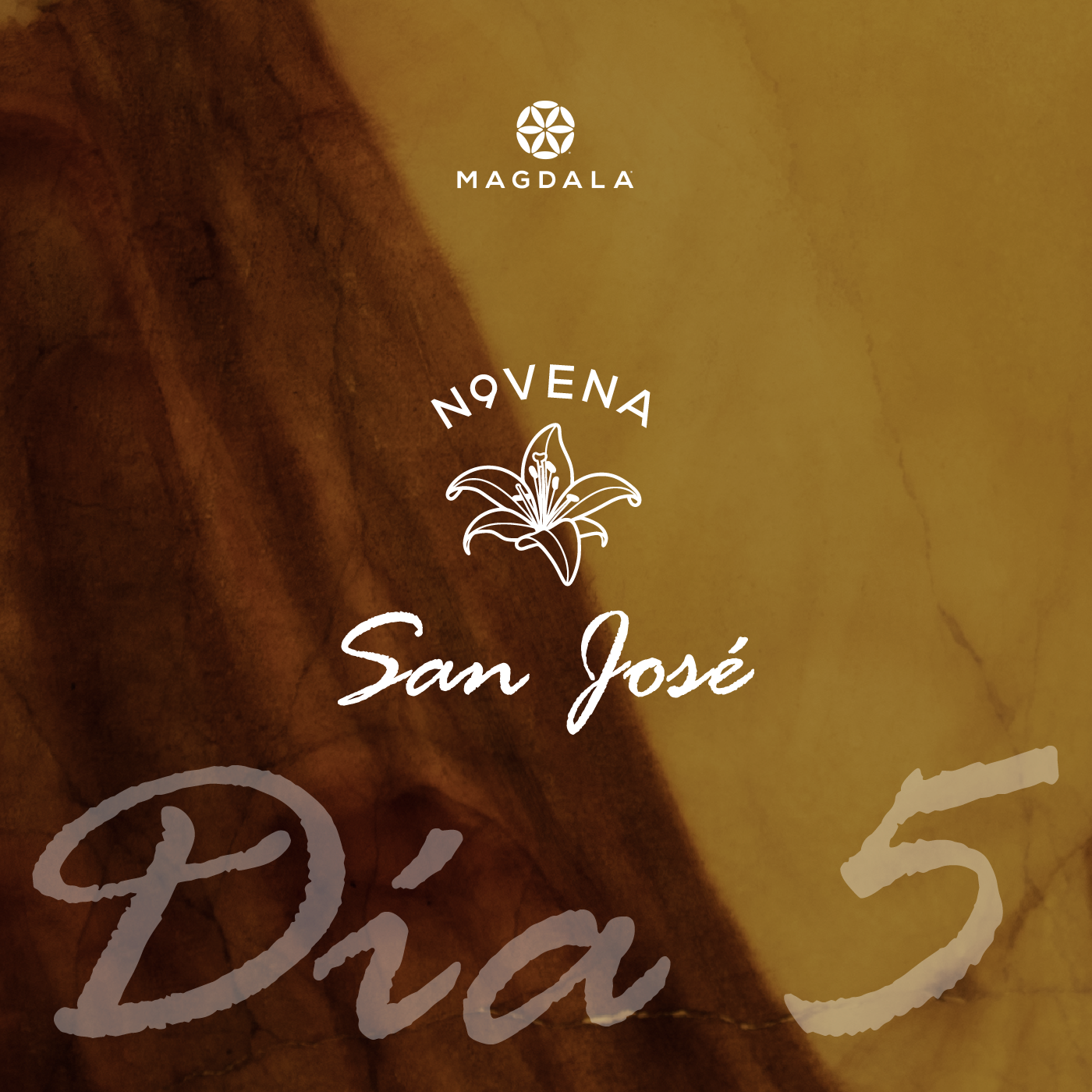 Novena a san José | Magdala