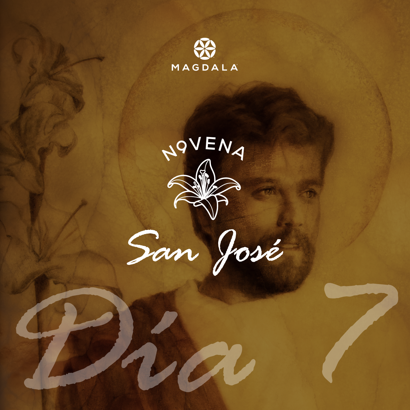 Novena a san José | Magdala