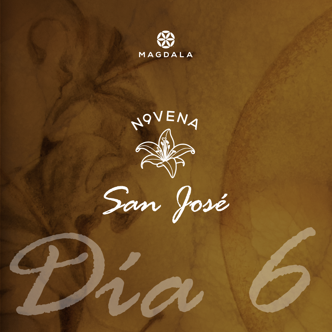 Novena a san José | Magdala