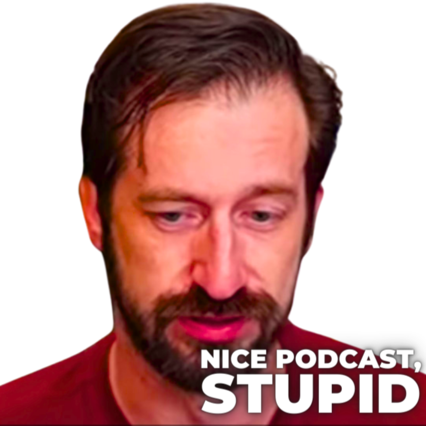 Nice Podcast, Stupid