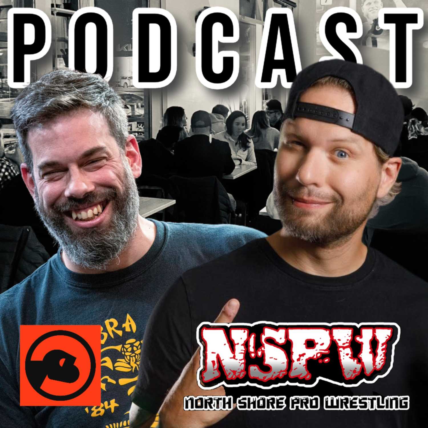 NSPW : Le Podcast podcast artwork