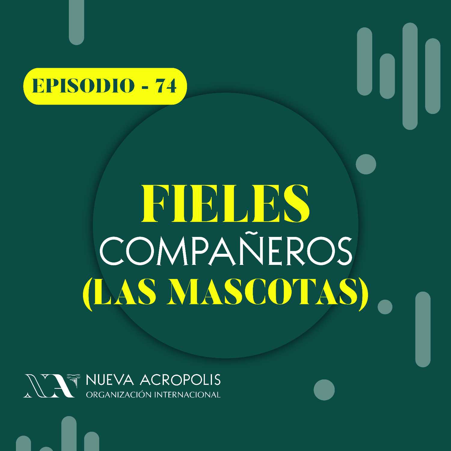 Fieles compañeros (las mascotas)