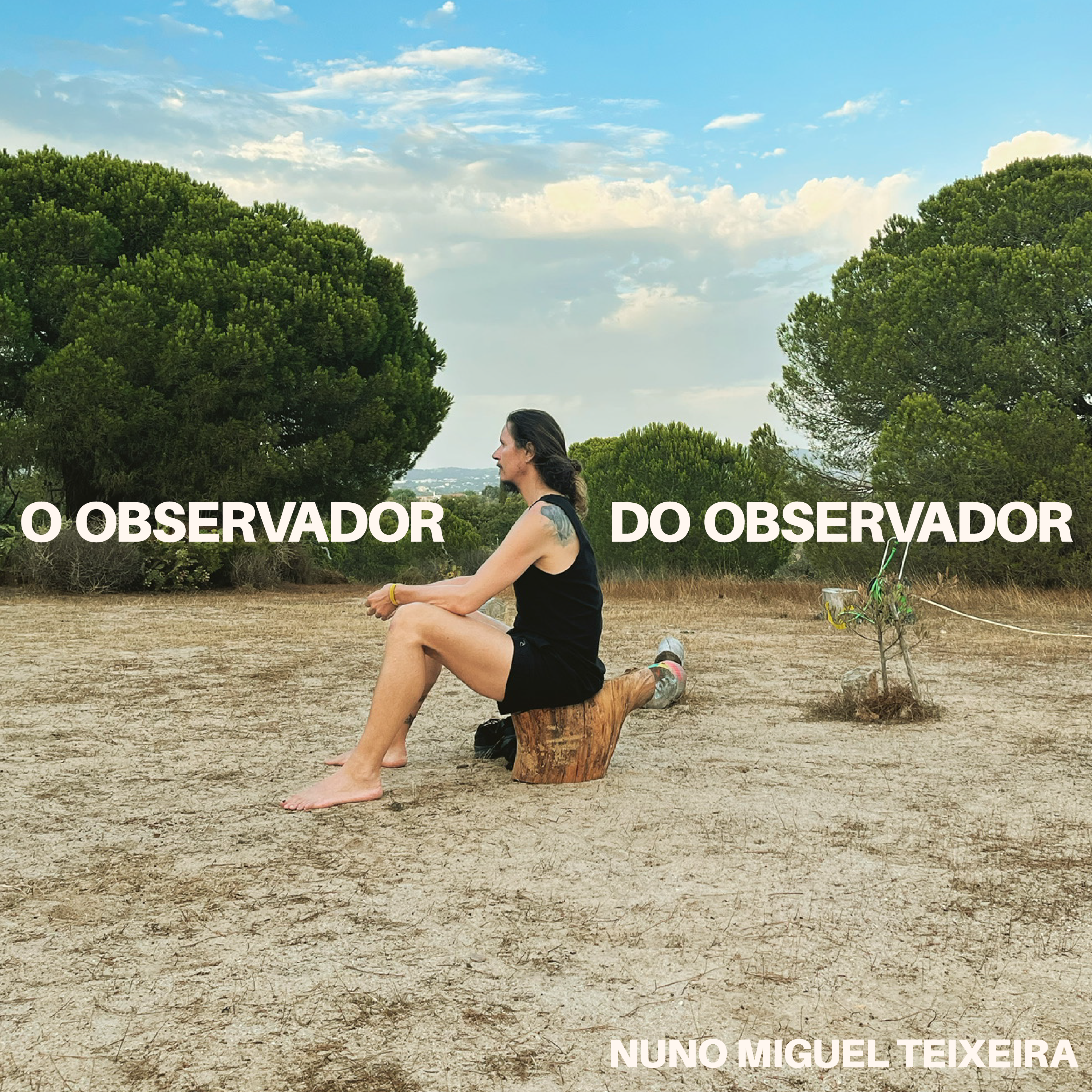 O Observador Do Observador