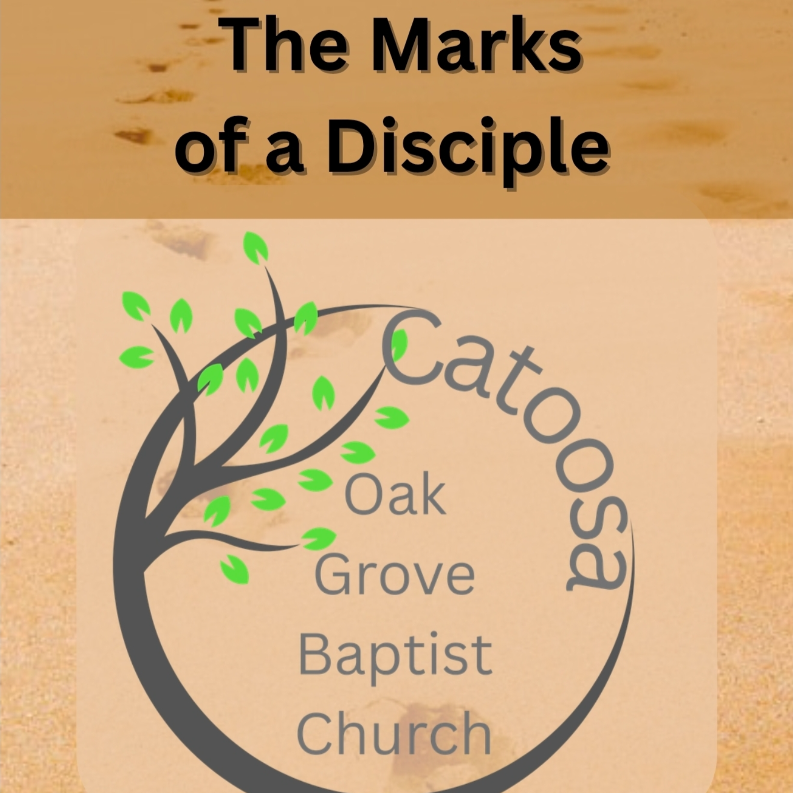 The Marks of a Disciple Session 2 episode artwork