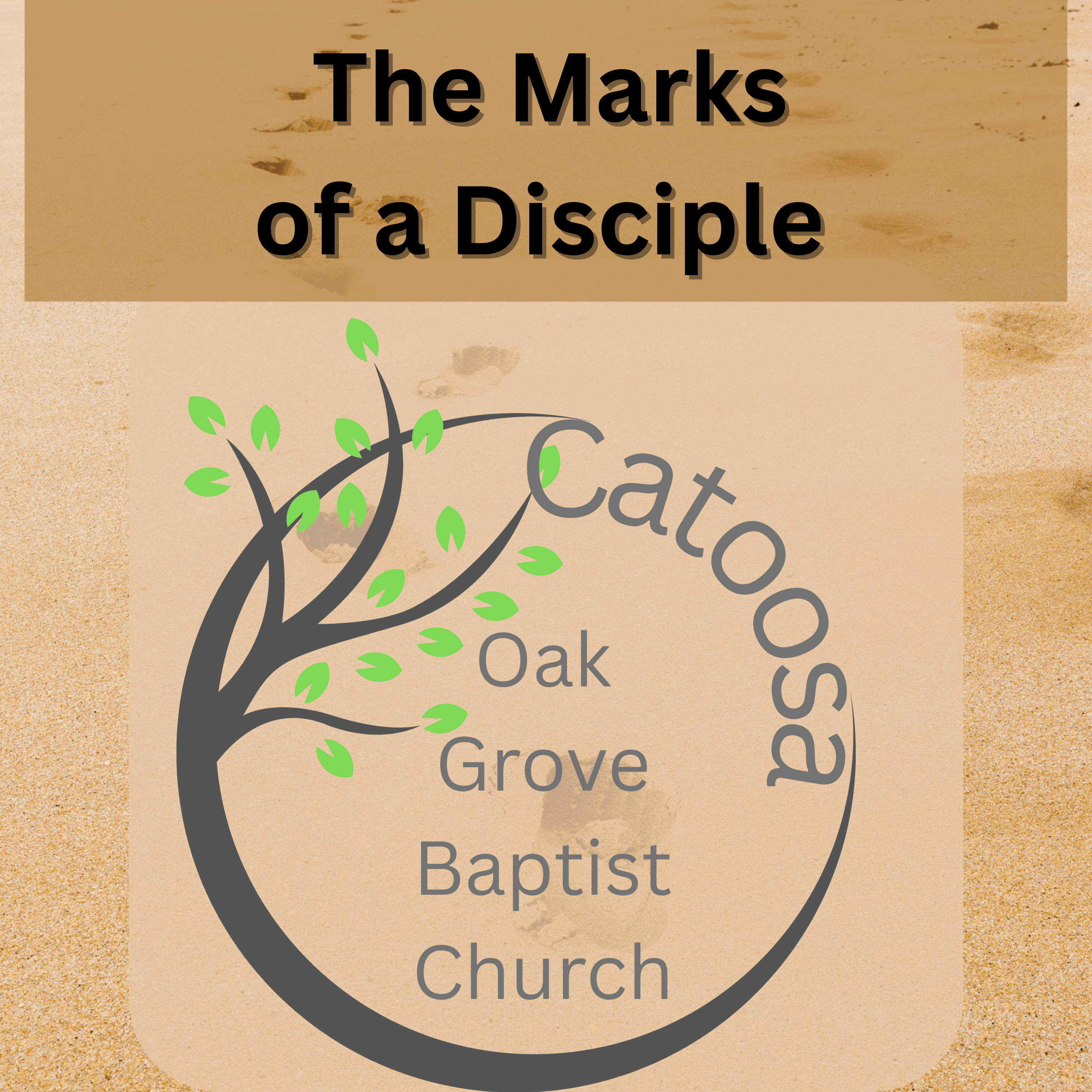 8 Marks of a Disciple I - Immerse In the Word  episode artwork