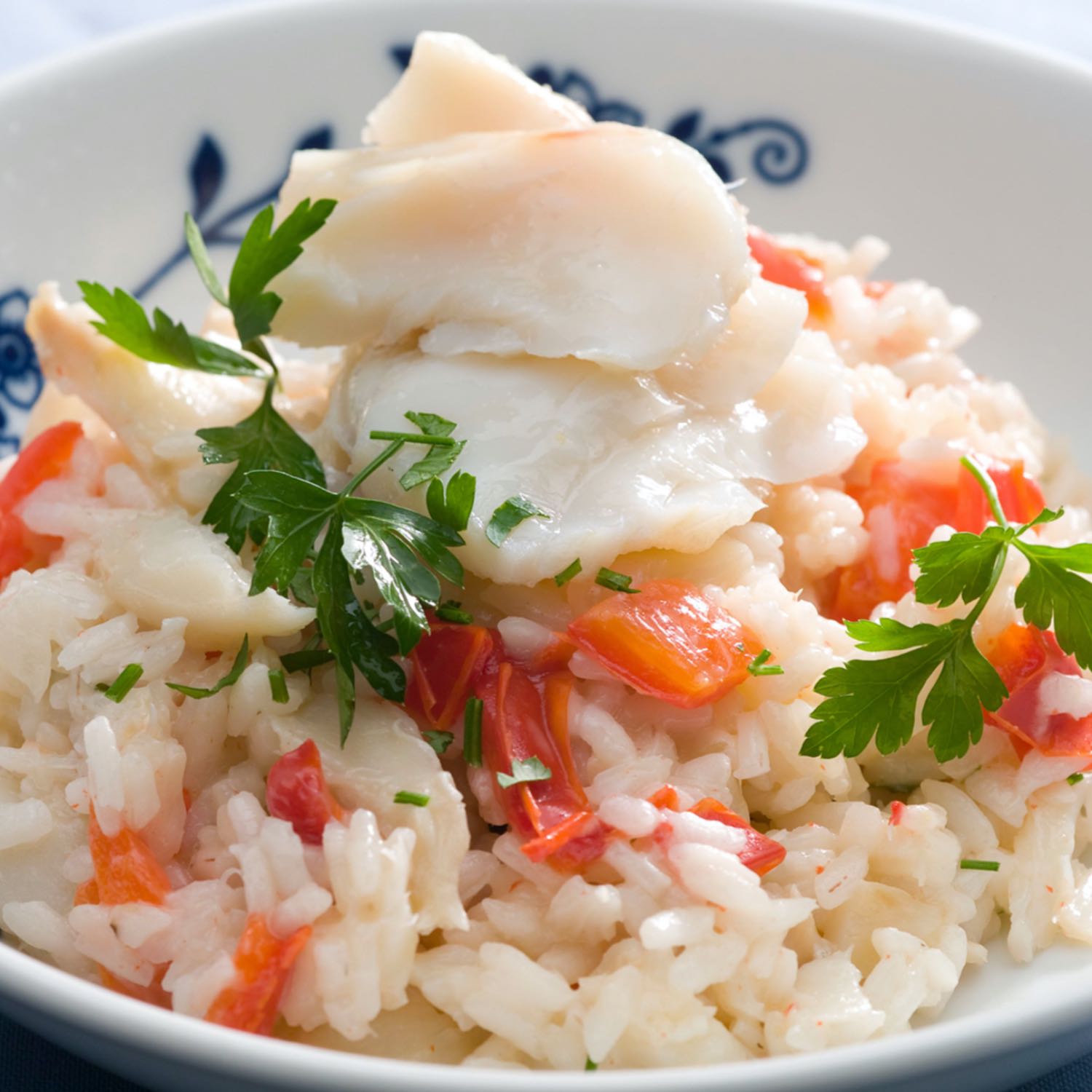 O Bacalhau Quer Áudio