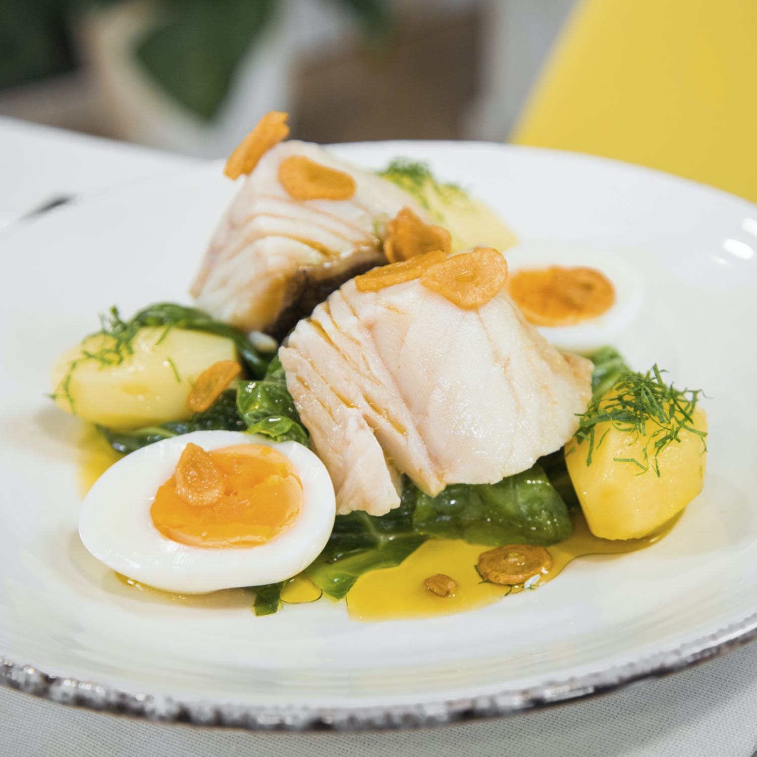 O Bacalhau Quer Áudio