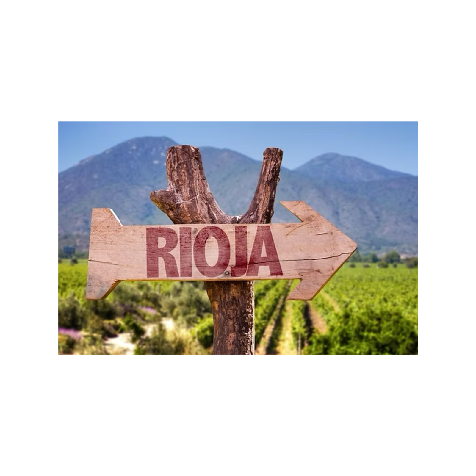 Tuesday 9 June La Rioja Day in La Rioja Spain episode artwork