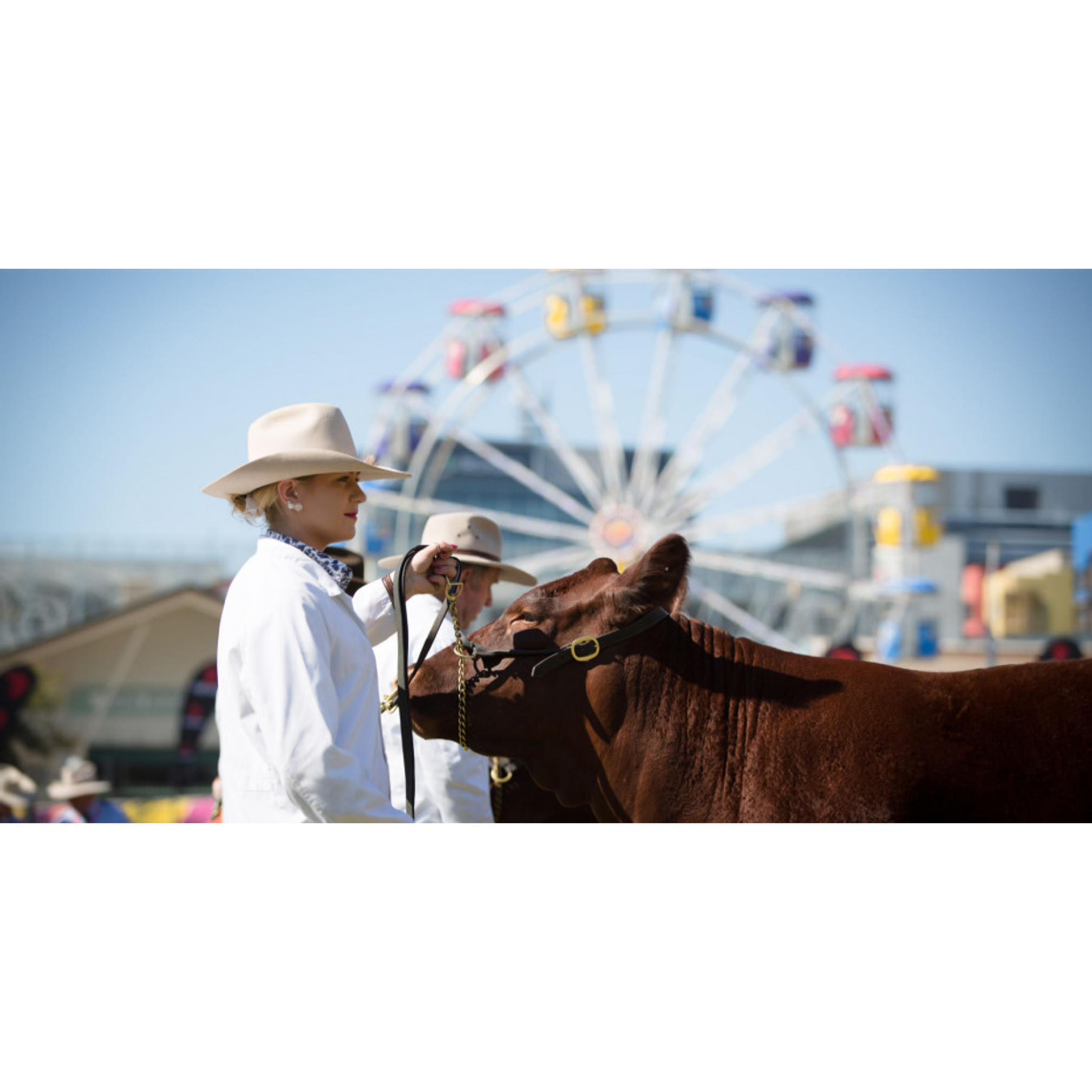 Wednesday 12 August Ekka People’s Day in Queensland Australia episode artwork