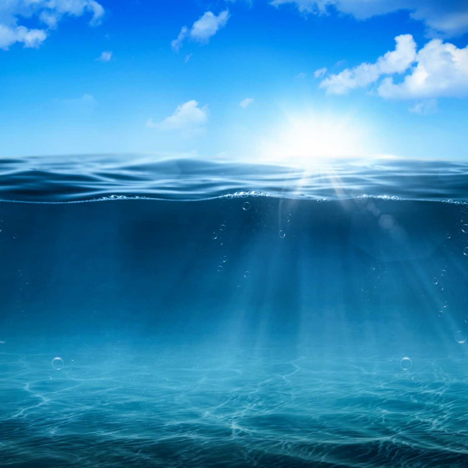 Everything on the Oceans with Charlie Williams