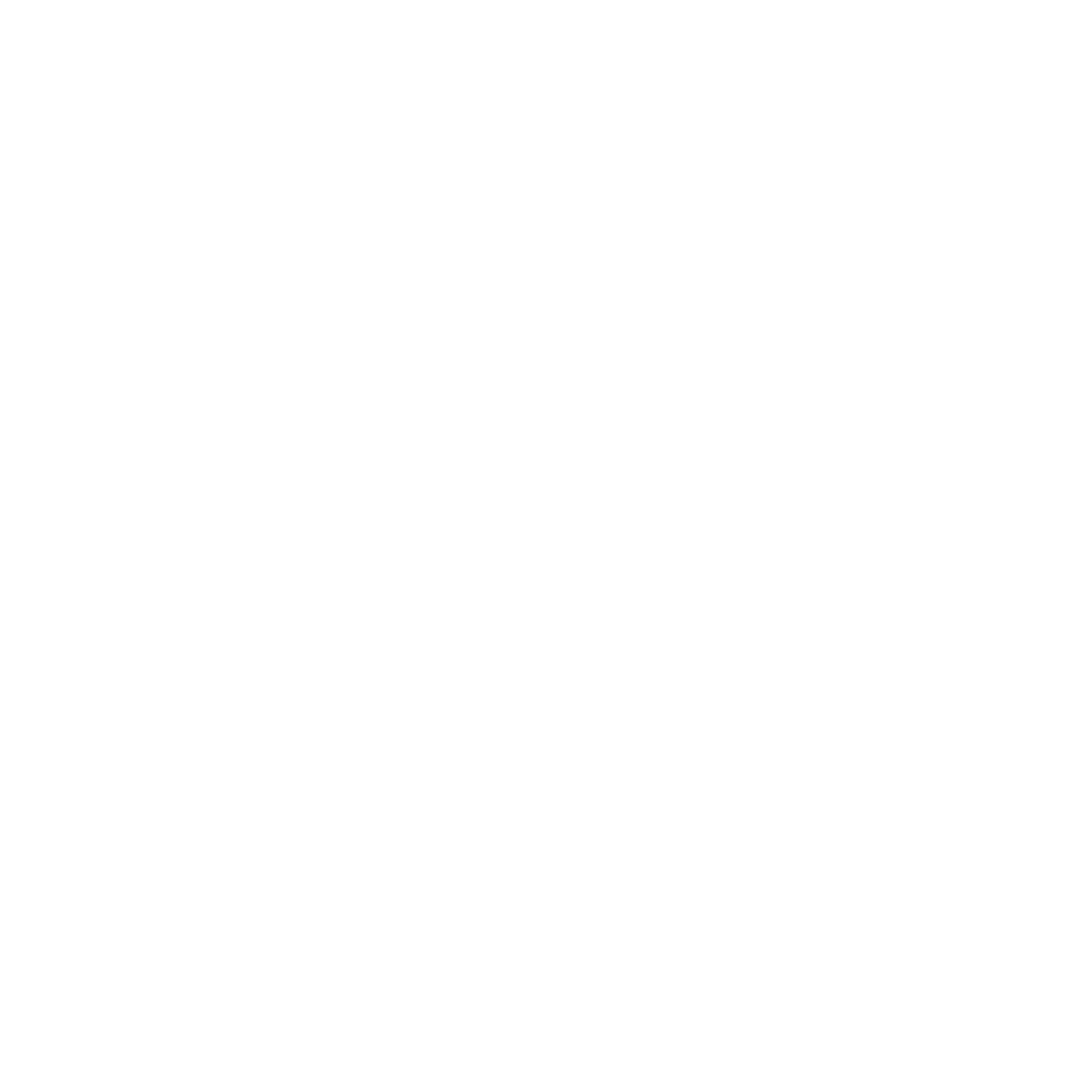 OFF THE RECORD