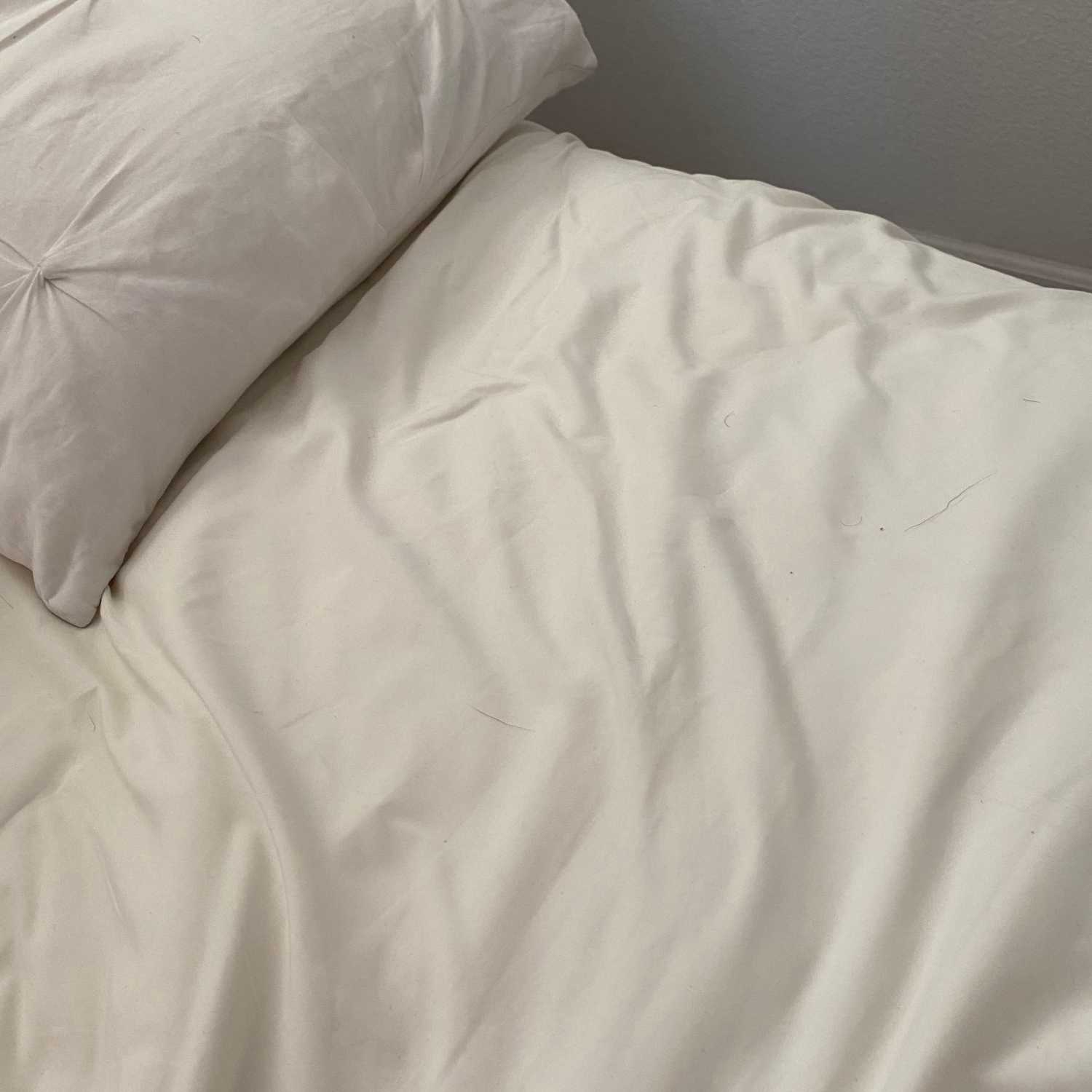 Ep 22: Bed Sores Ep 22: Bed Sores