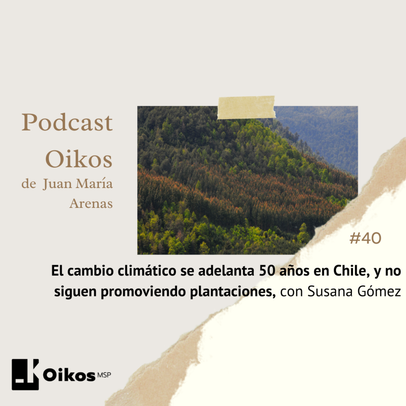 El cambio climático se adelanta 50 años en Chile, y no siguen promoviendo plantaciones, con Susana Gómez