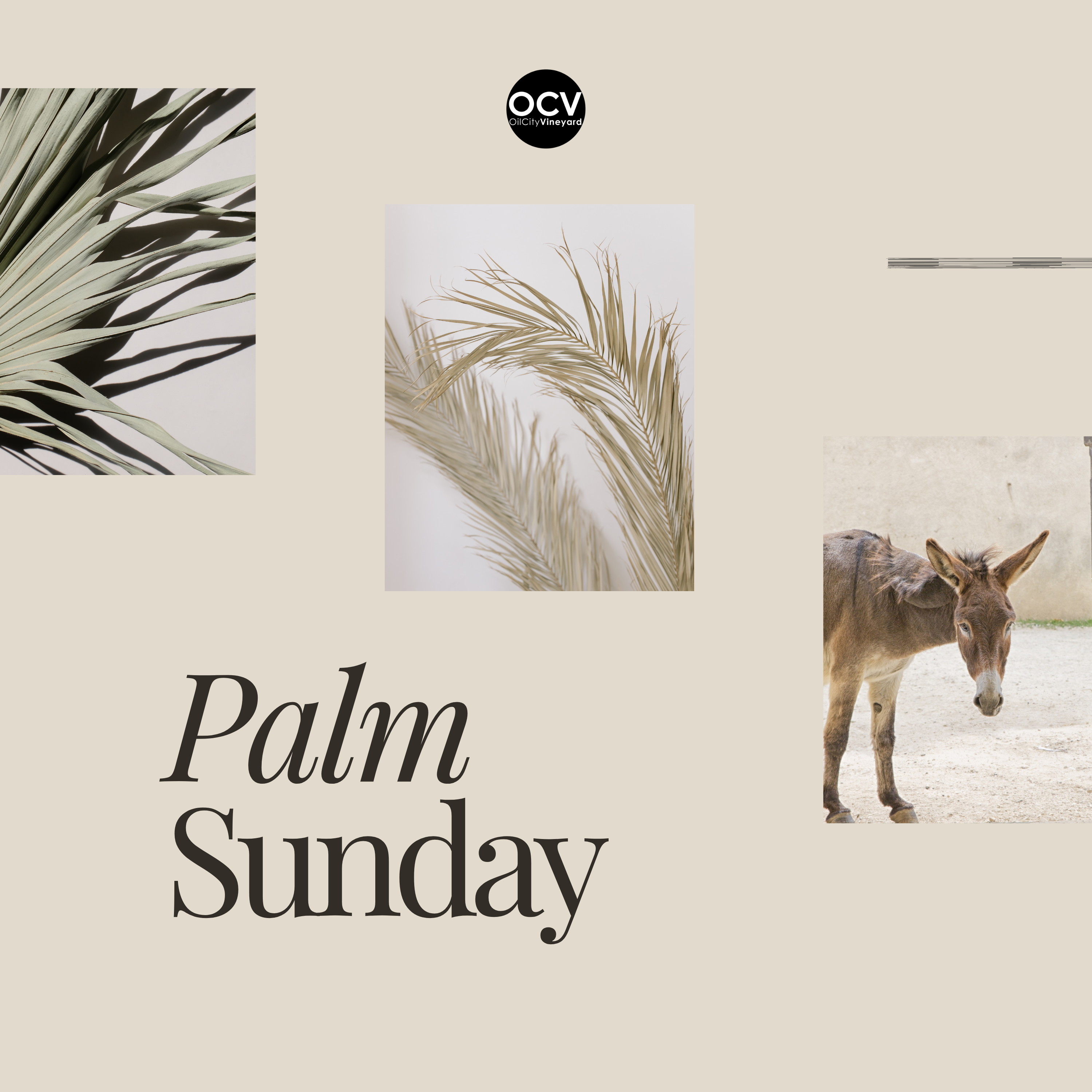 Palm Sunday | The Way Of Obedience | Charlie Cotherman episode artwork