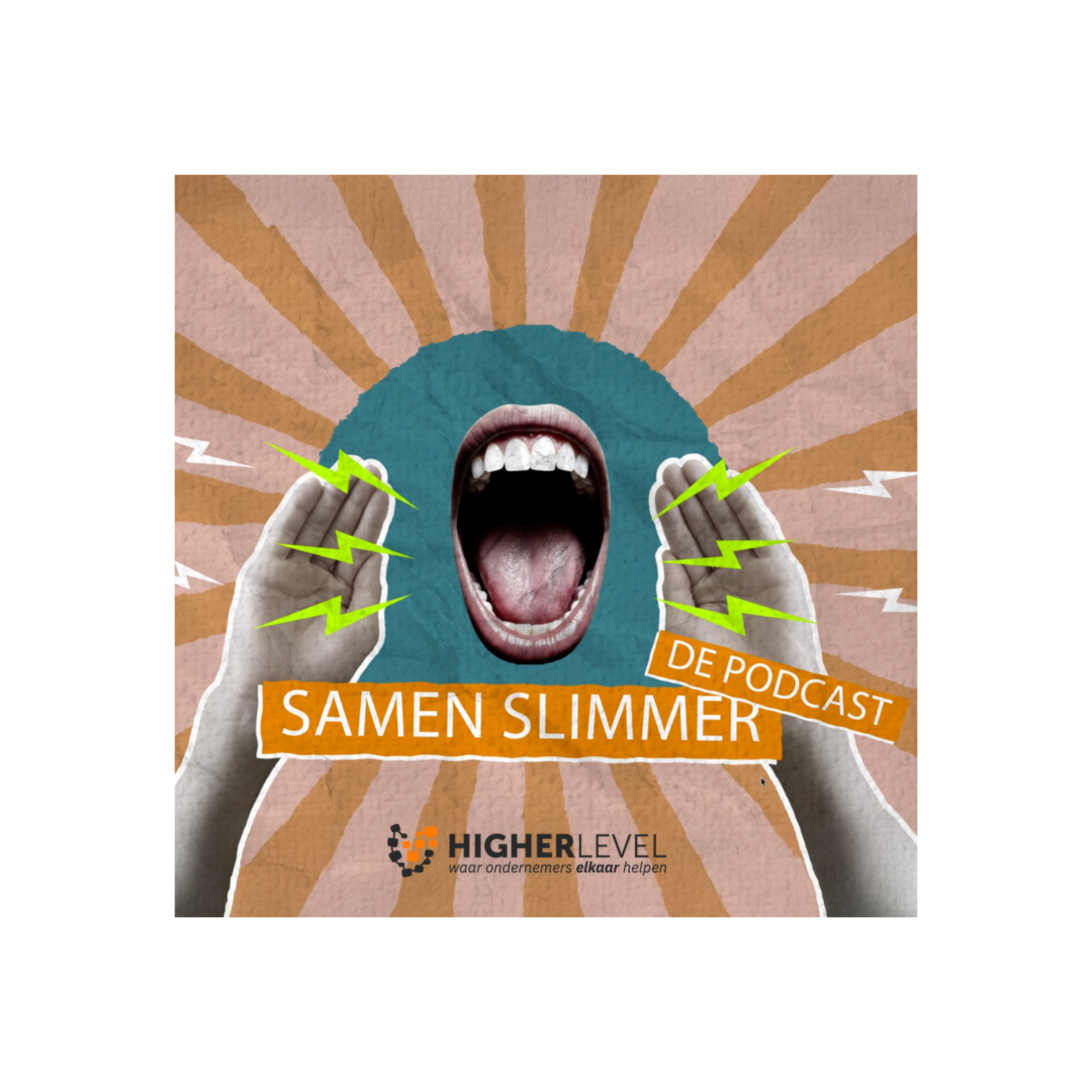 Samen Slimmer, de ondernemerspodcast van Higherlevel.nl podcast artwork