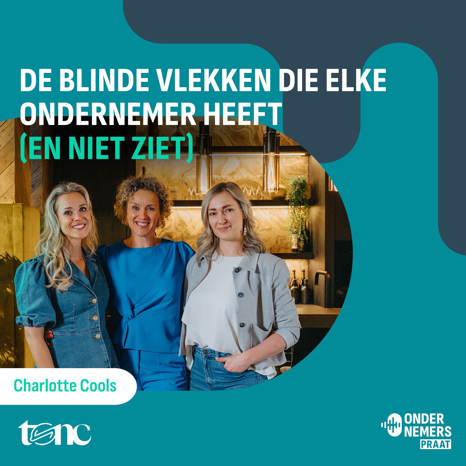 S5 E5 - De blinde vlekken die elke ondernemer heeft (en niet ziet) episode artwork