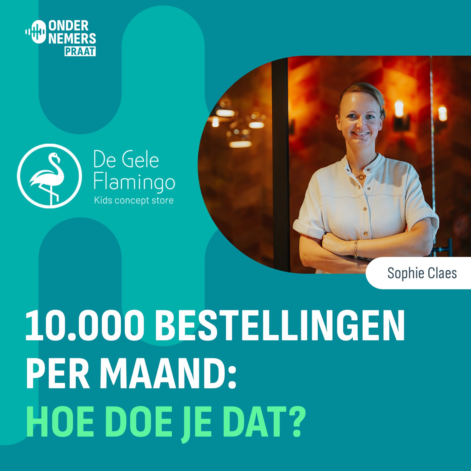 S5 E17 - 10.000 webshopbestellingen per maand: hoe doe je dat? episode artwork