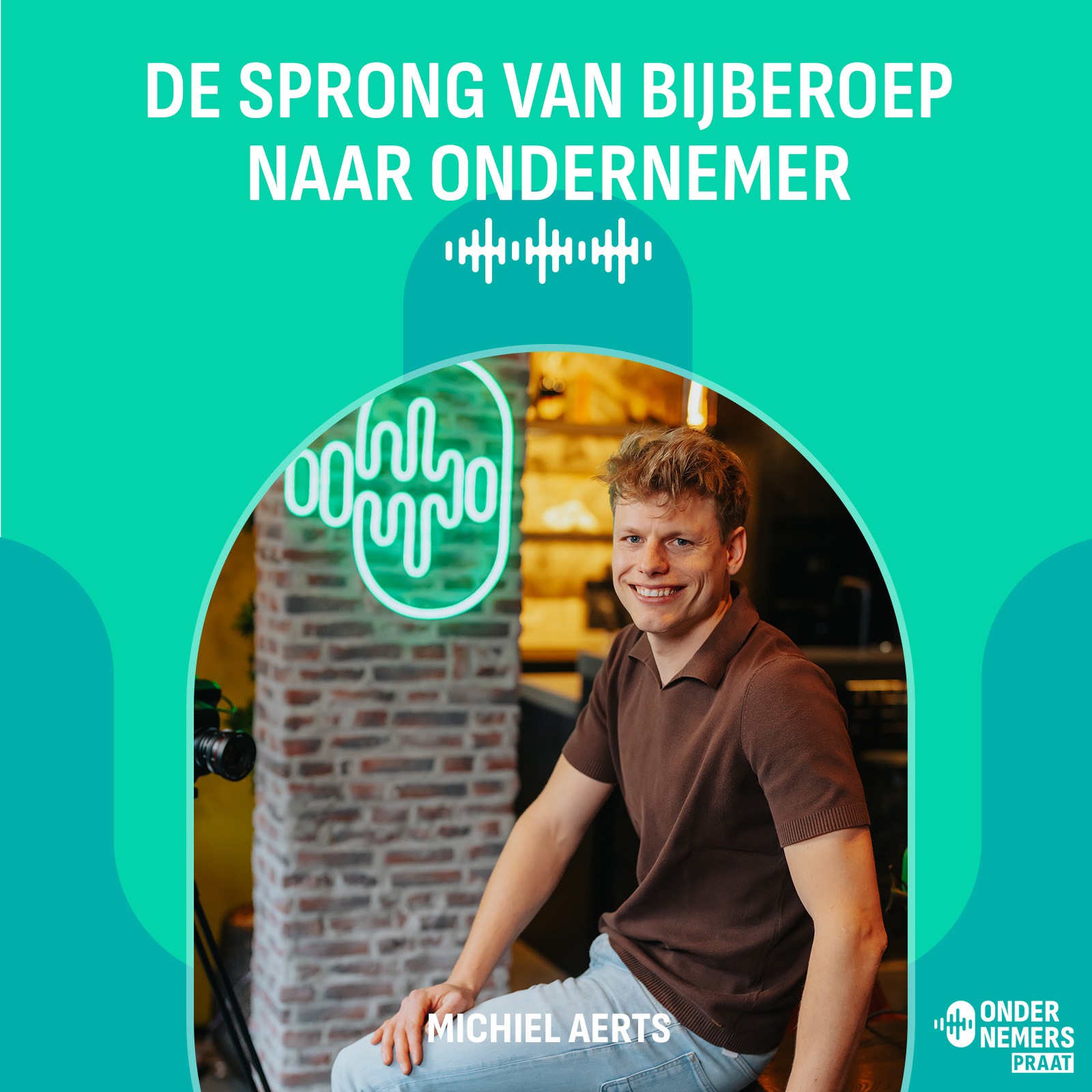S6 E17 - De sprong van bijberoep naar ondernemer episode artwork