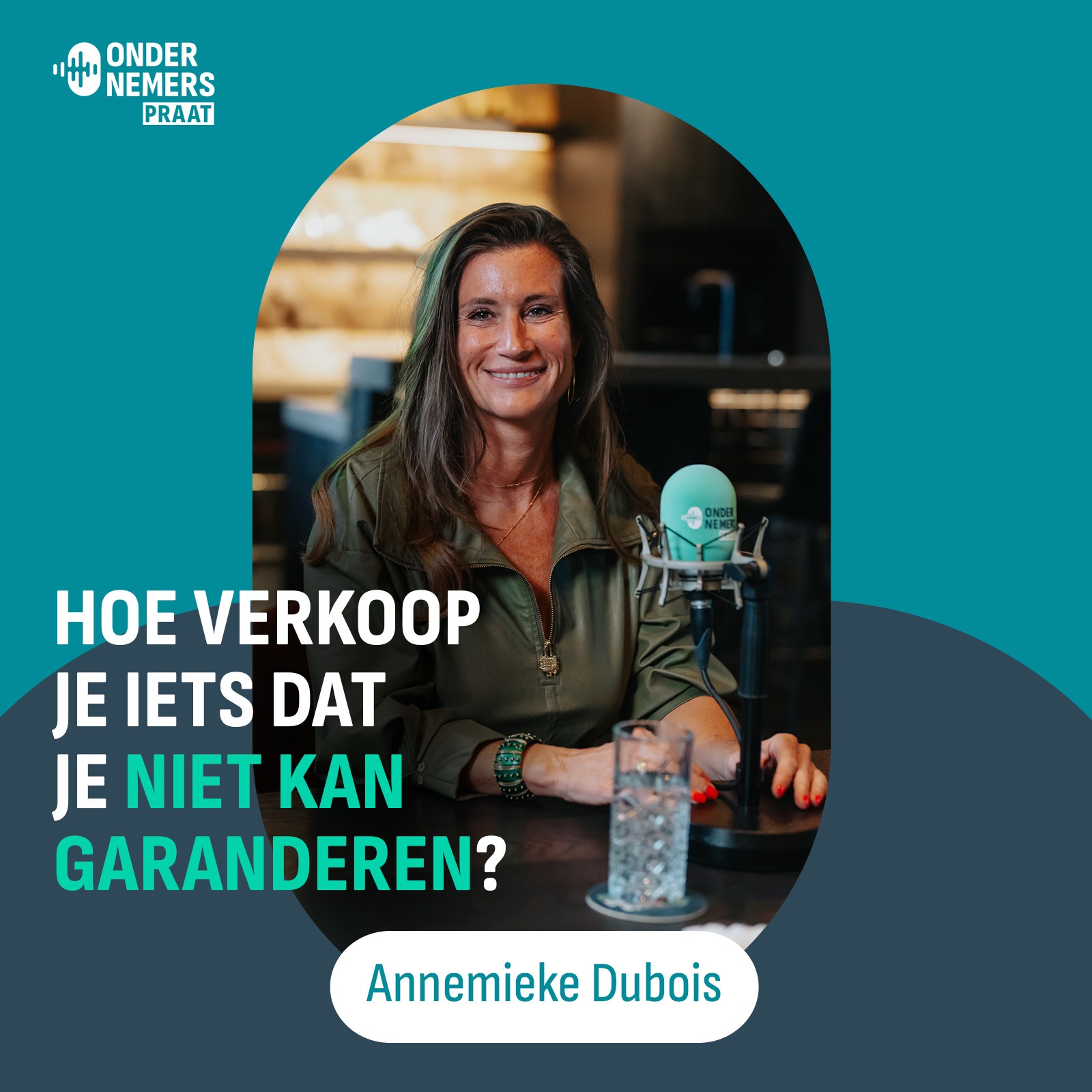 S6 E25 - Hoe verkoop je iets dat je niet kan garanderen? episode artwork