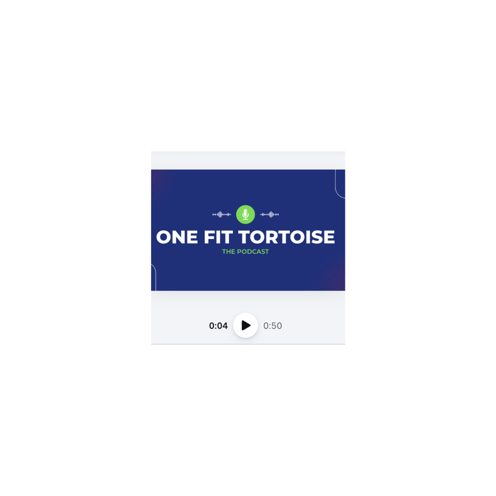 One Fit Tortoise: The Podcast cover art