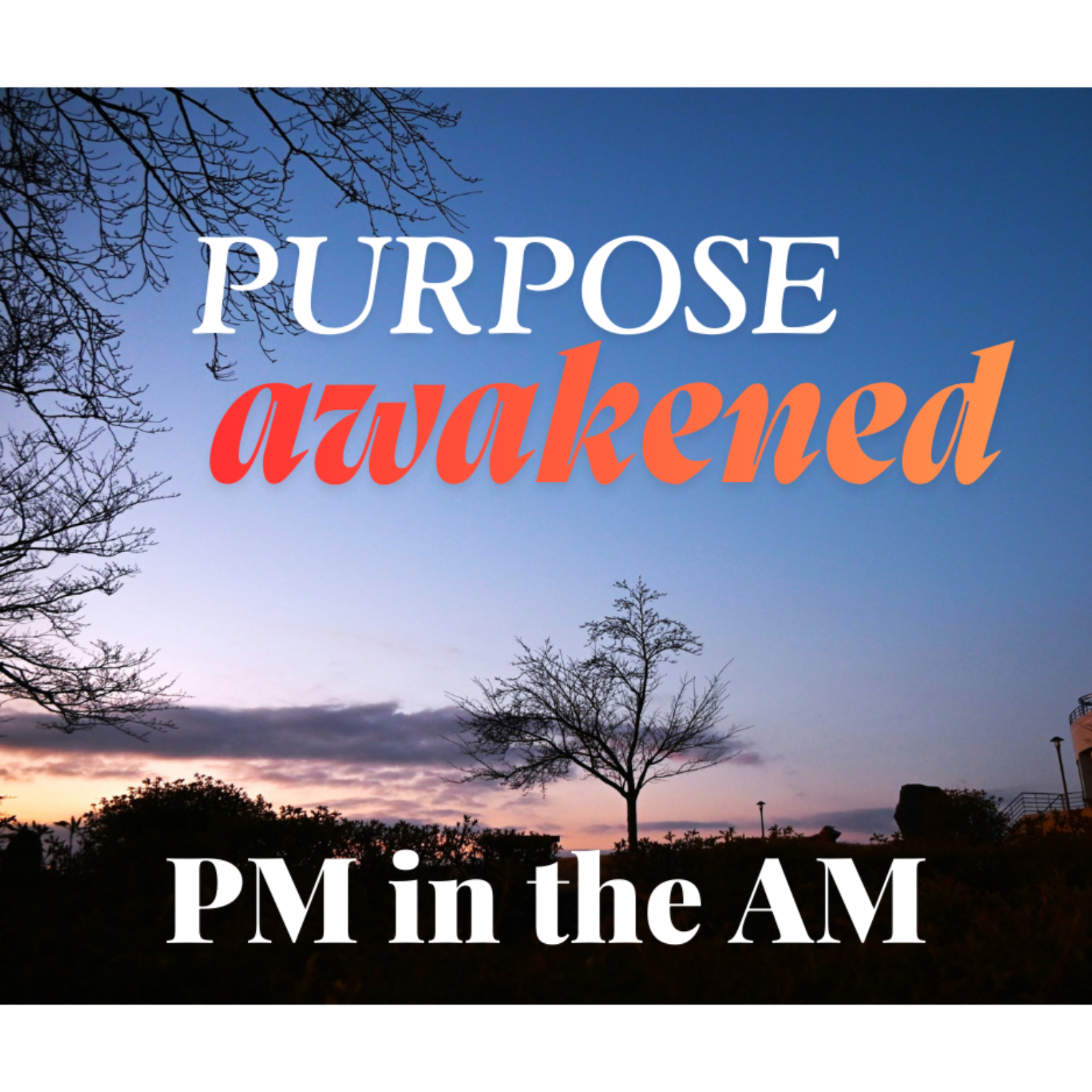 Purpose Awakened #2