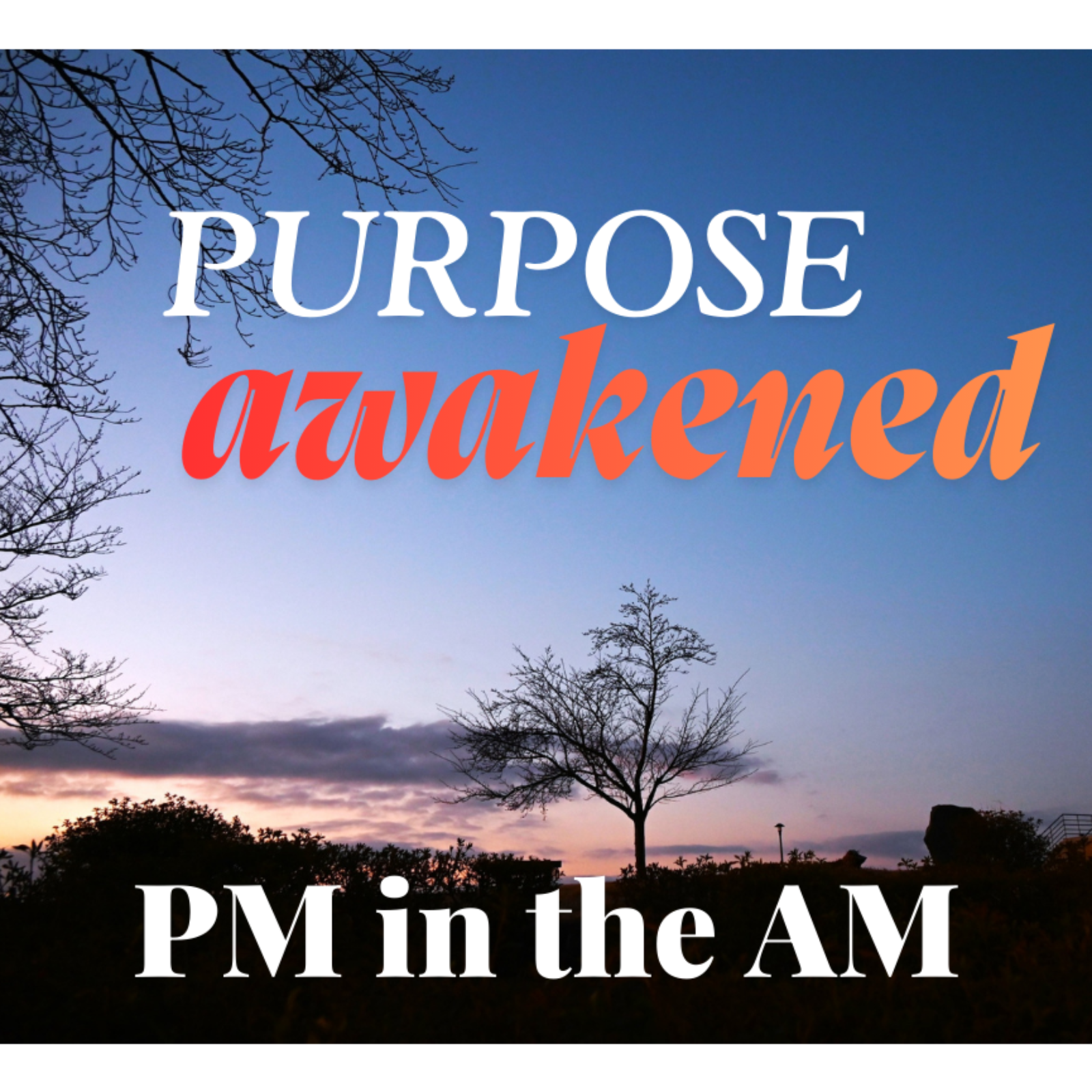 Purpose Awakened #3