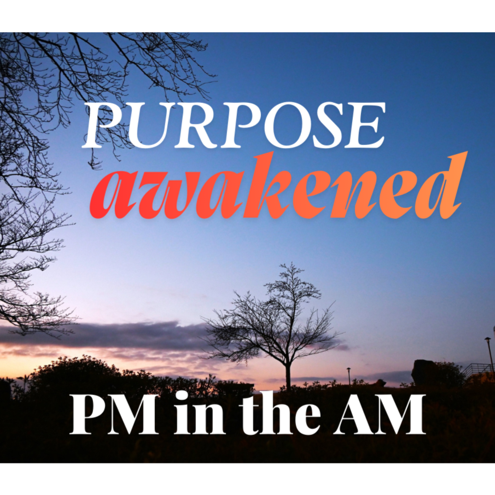 Purpose Awakened #4