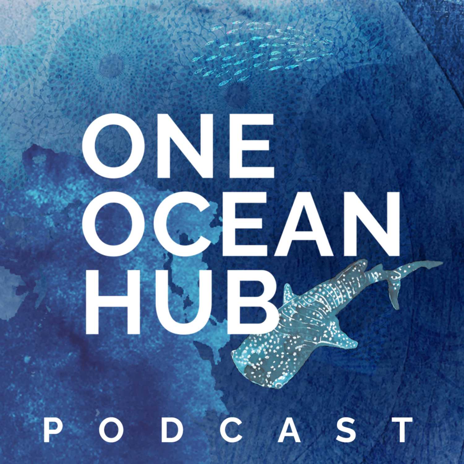 Episode 2 - Ocean Climate nexus and human rights.
