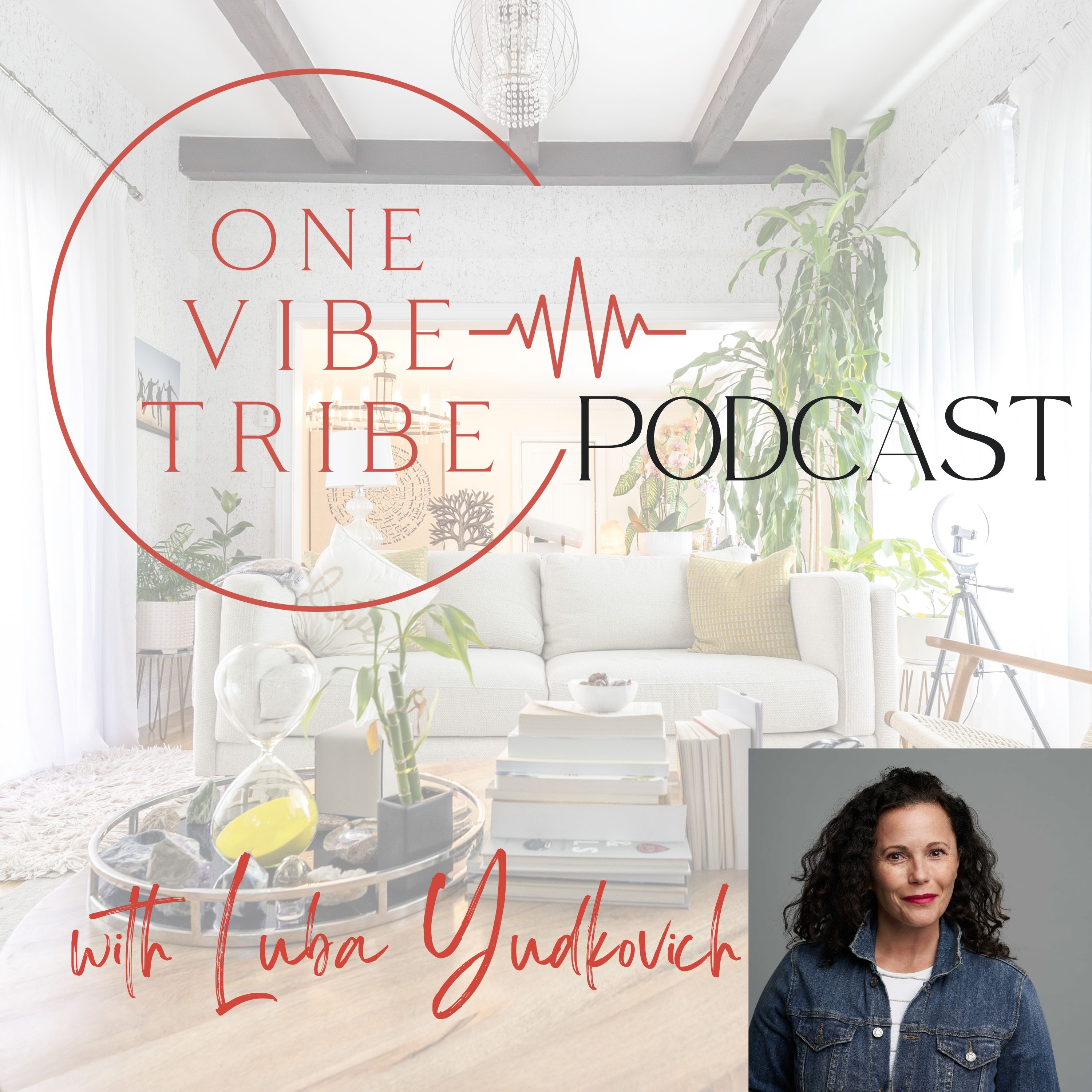 One Vibe Tribe cover art