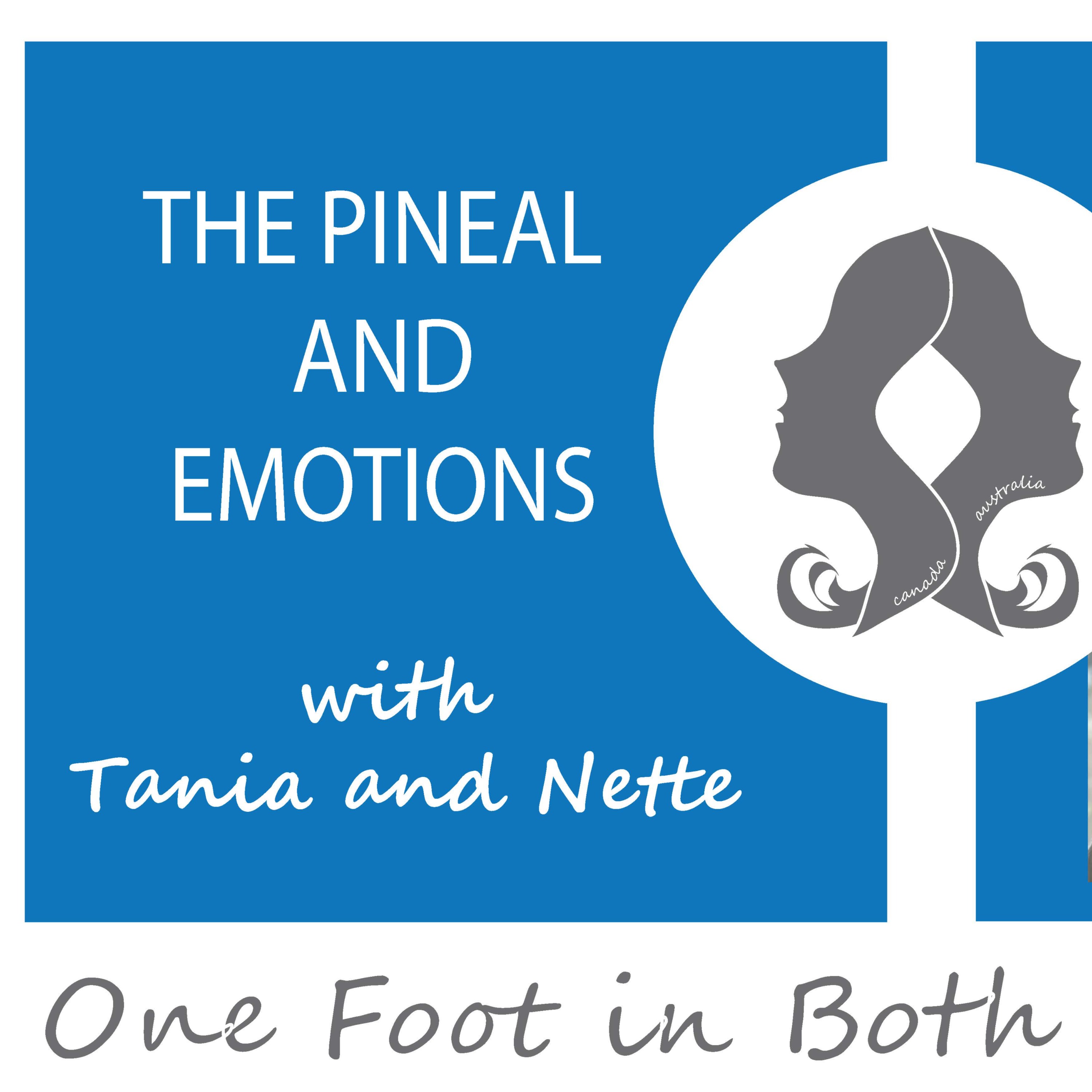 One Foot in Both Worlds - Keeping It Real with Tania and Nette - Intro