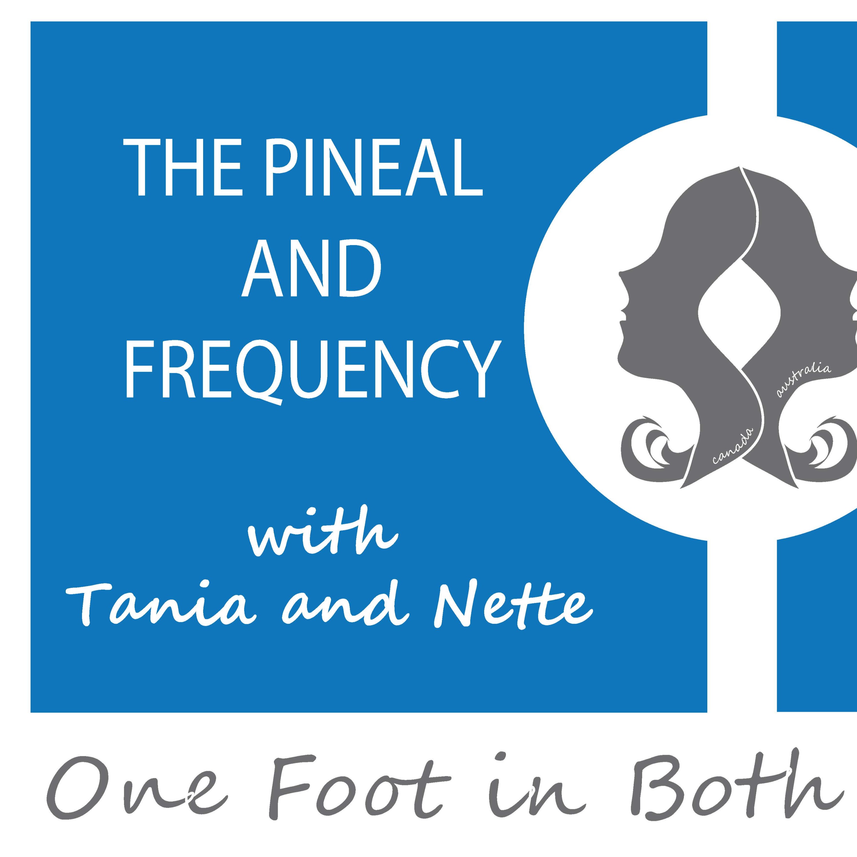 One Foot in Both Worlds - Keeping It Real with Tania and Nette - Intro
