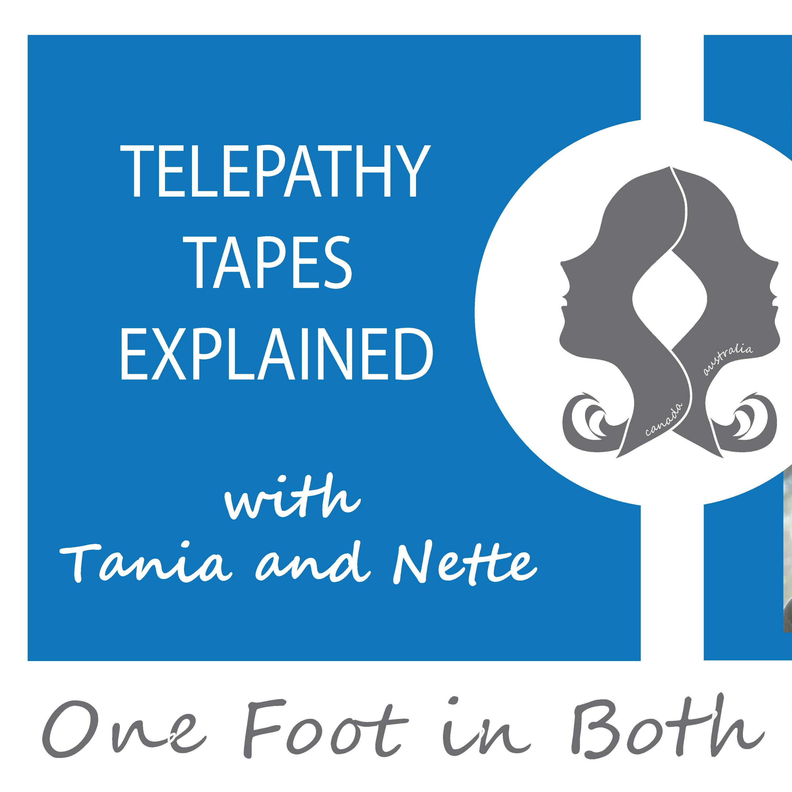 One Foot in Both Worlds - Keeping It Real with Tania and Nette - Intro