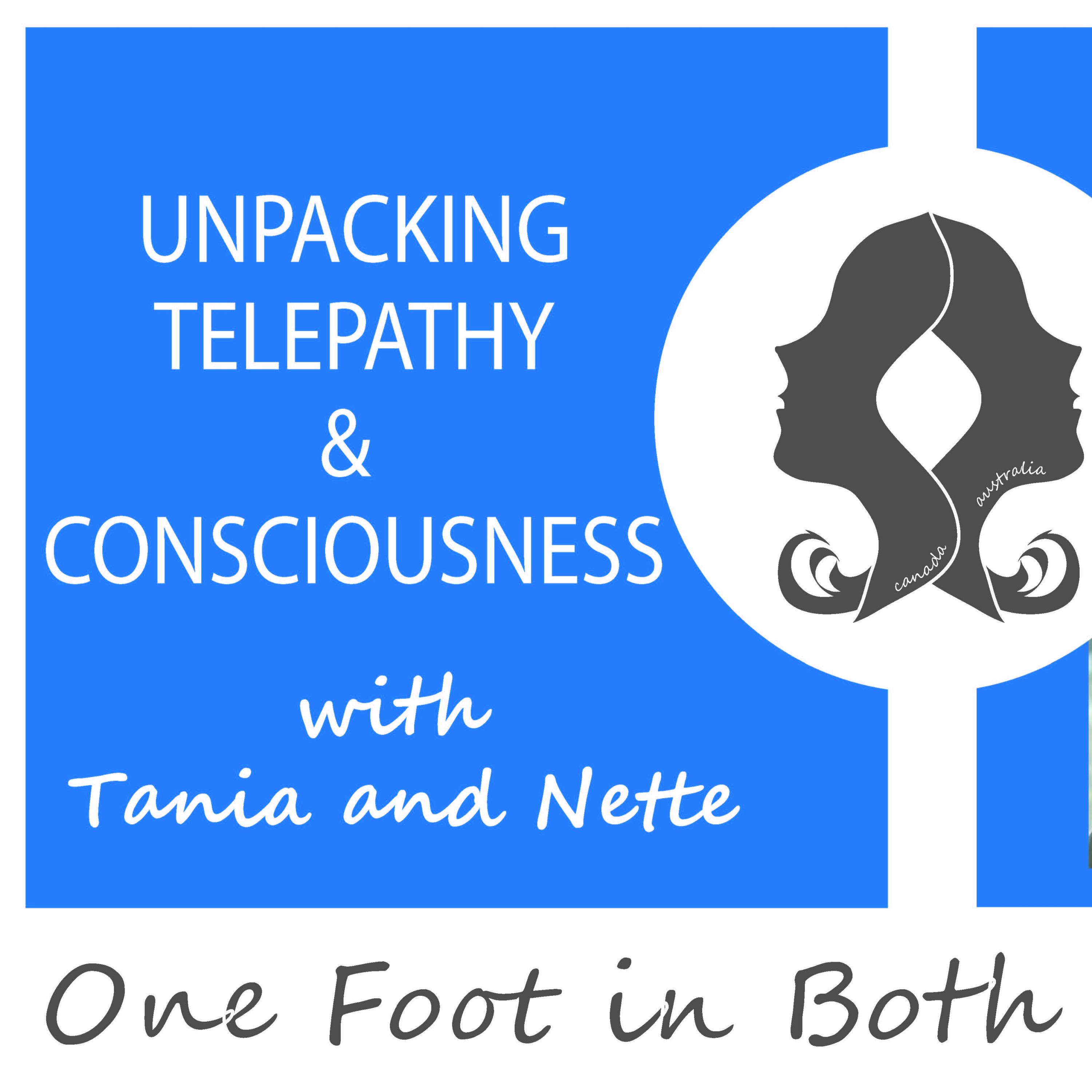 One Foot in Both Worlds - Keeping It Real with Tania and Nette - Intro