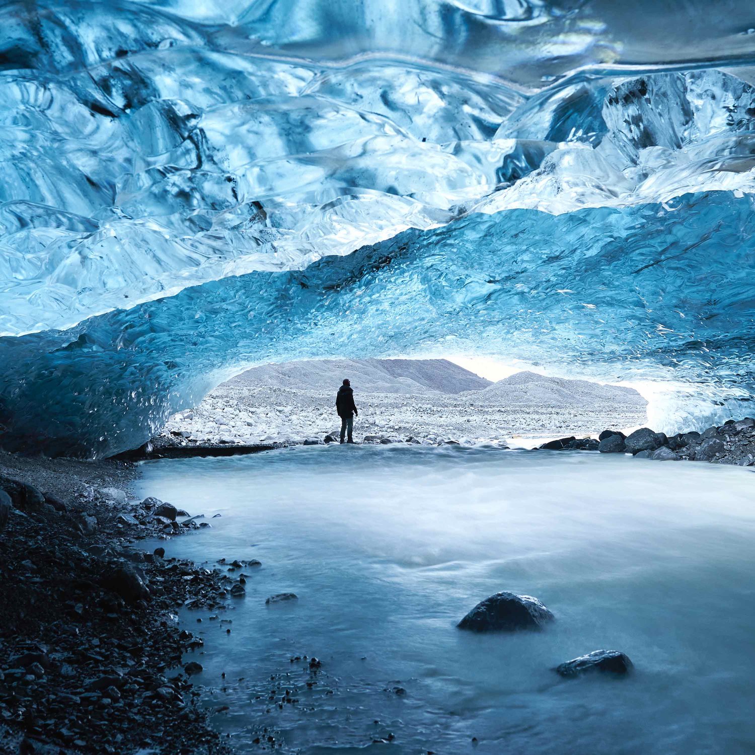 Sustainability, Climate Change, Renewable Energy, Politics, Activism, Biodiversity, Carbon Footprint, Wildlife, Regenerative Agriculture, Circular Economy, Extinction, Net-Zero · One Planet Podcast