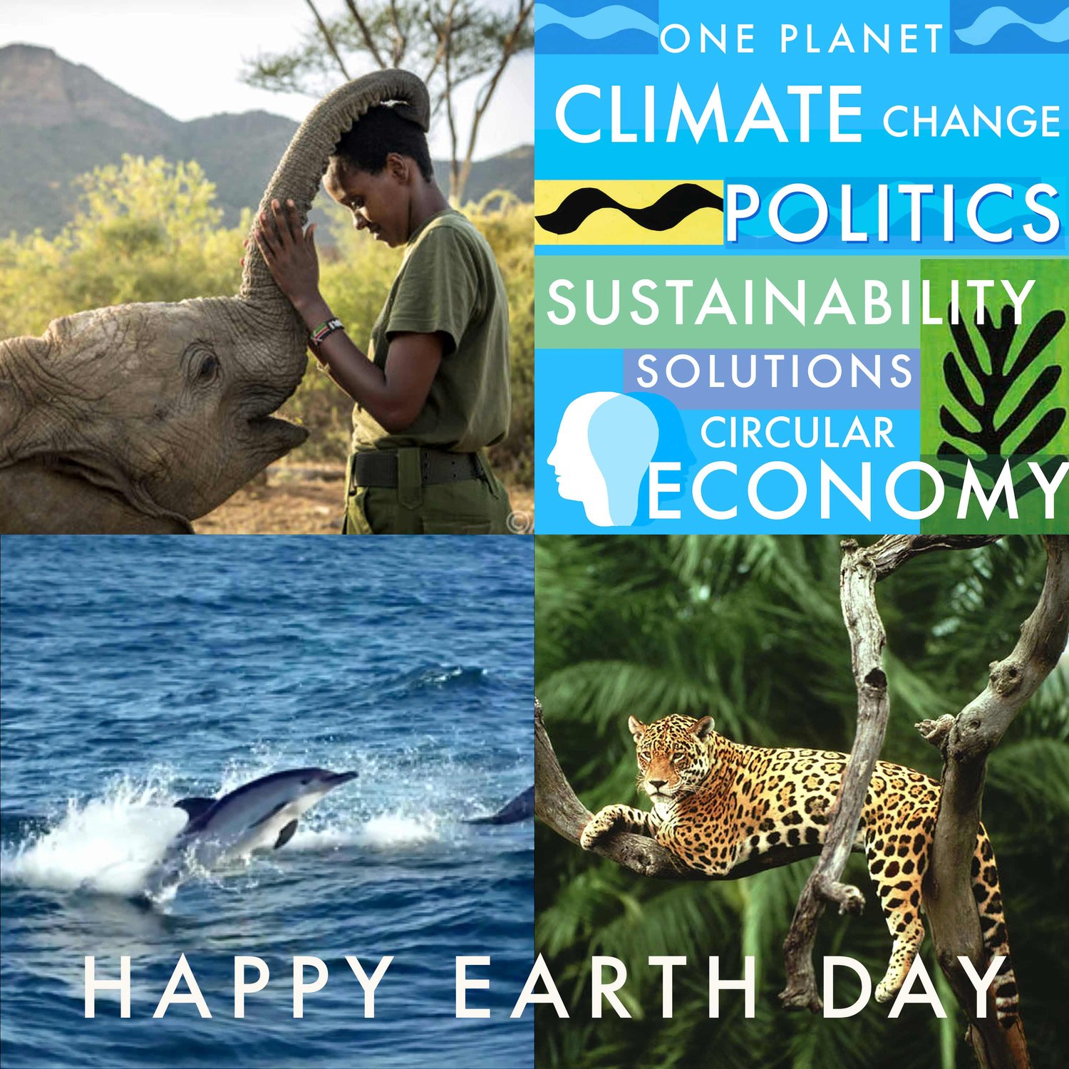 Sustainability, Climate Change, Renewable Energy, Politics, Activism, Biodiversity, Carbon Footprint, Wildlife, Regenerative Agriculture, Circular Economy, Extinction, Net-Zero · One Planet Podcast