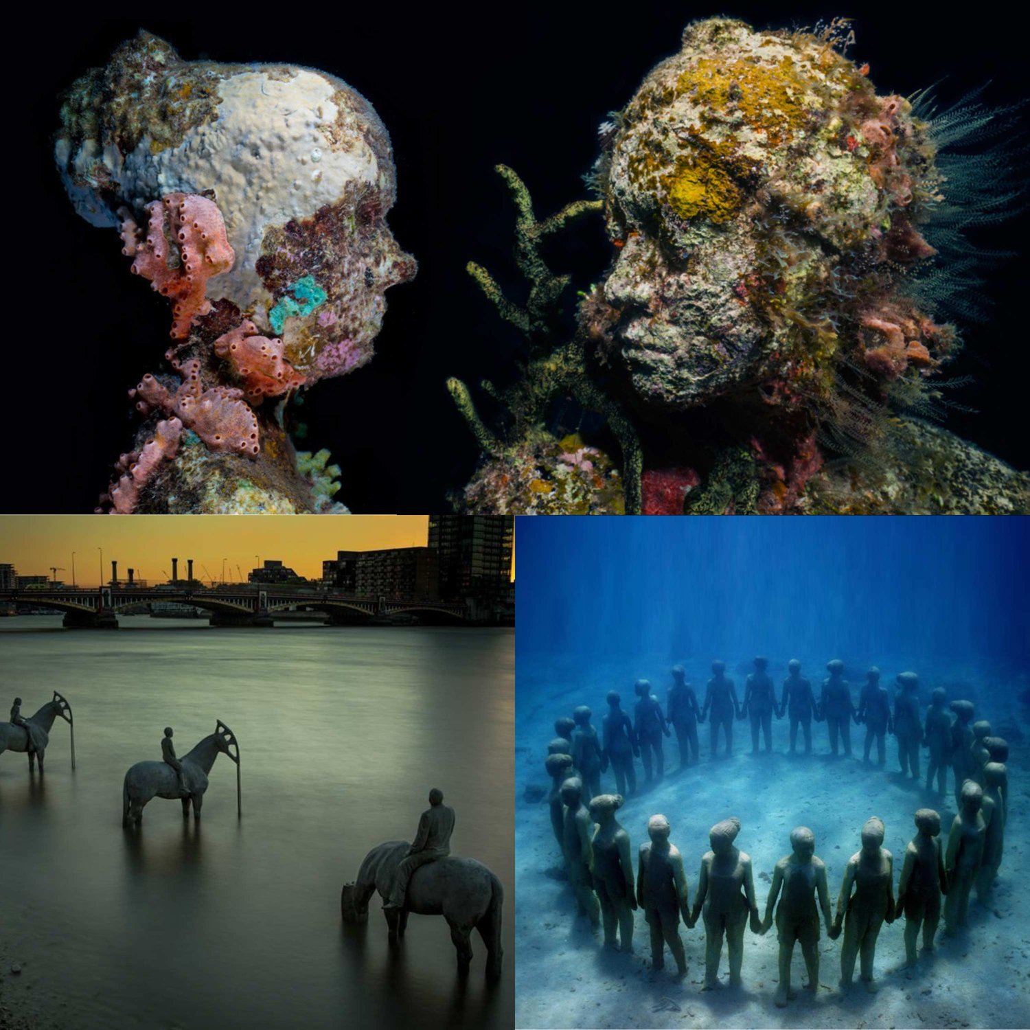 Sustainability, Climate Change, Renewable Energy, Politics, Activism, Biodiversity, Carbon Footprint, Wildlife, Regenerative Agriculture, Circular Economy, Extinction, Net-Zero · One Planet Podcast