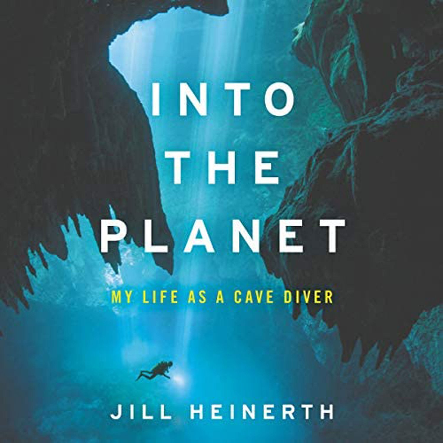 Sustainability, Climate Change, Renewable Energy, Politics, Activism, Biodiversity, Carbon Footprint, Wildlife, Regenerative Agriculture, Circular Economy, Extinction, Net-Zero · One Planet Podcast