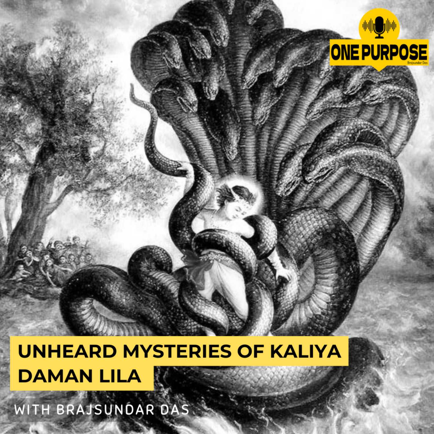 Unheard Mysteries of Kaliya Daman Lila | Brajsundar Das
