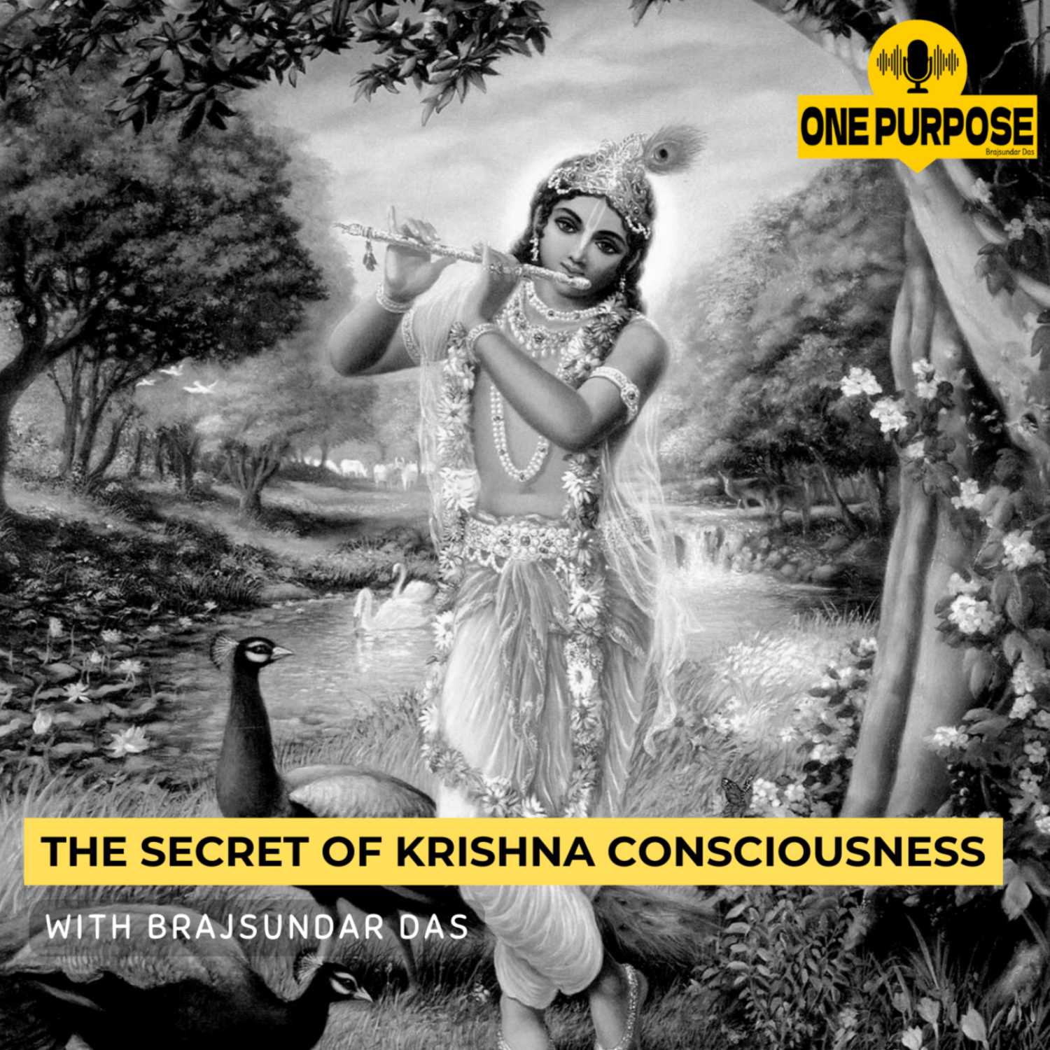 The secret of Krishna consciousness | Brajsundar Das