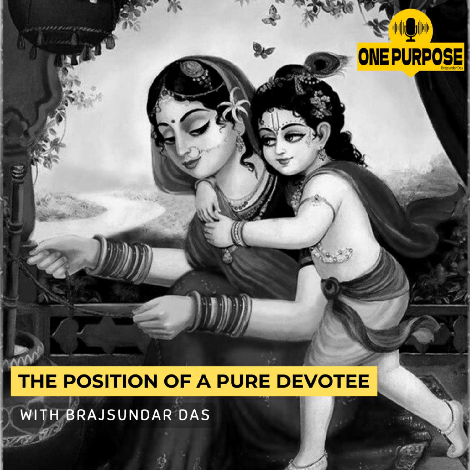 The Position Of A Pure Devotee | Brajsundar Das