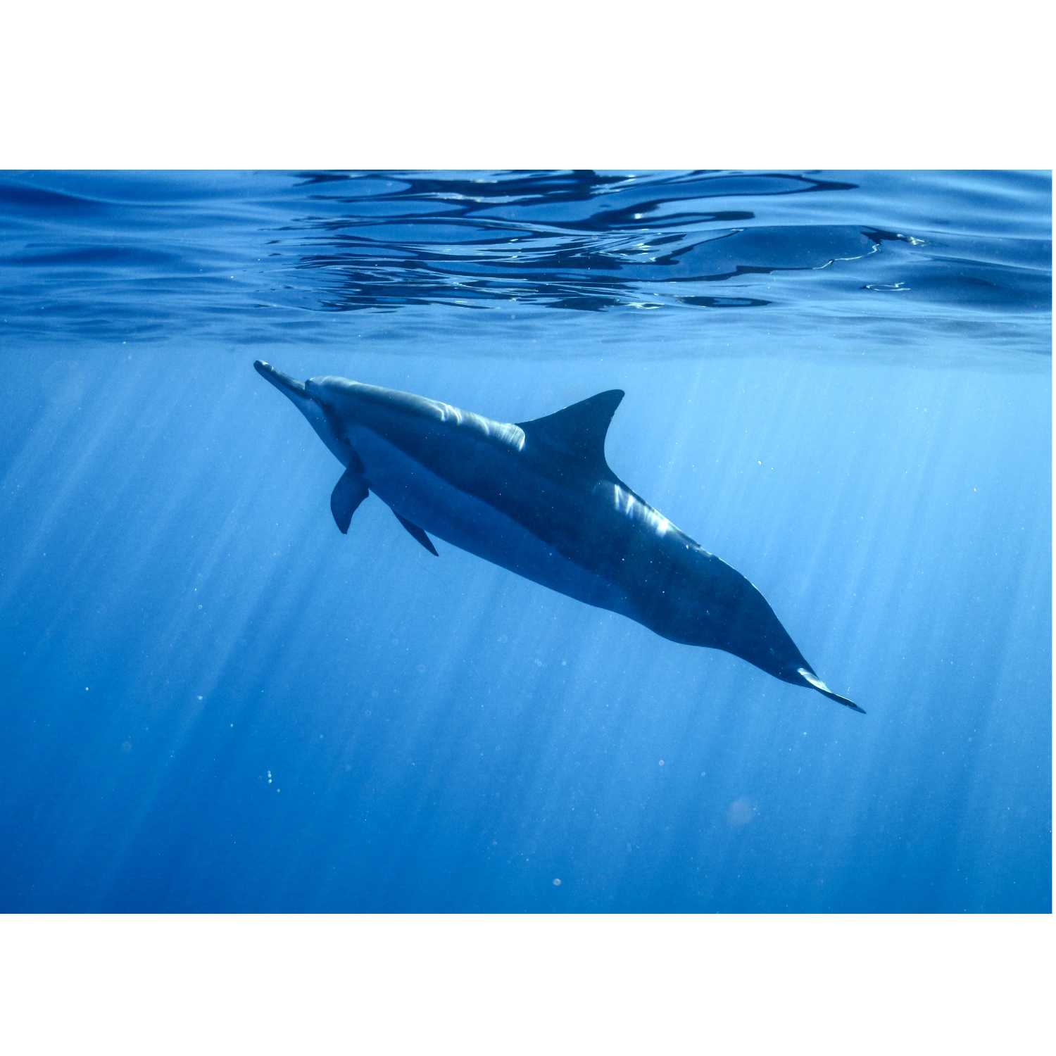 #26: Jonah - a Reminder of Our Responsibility to the Unsaved World