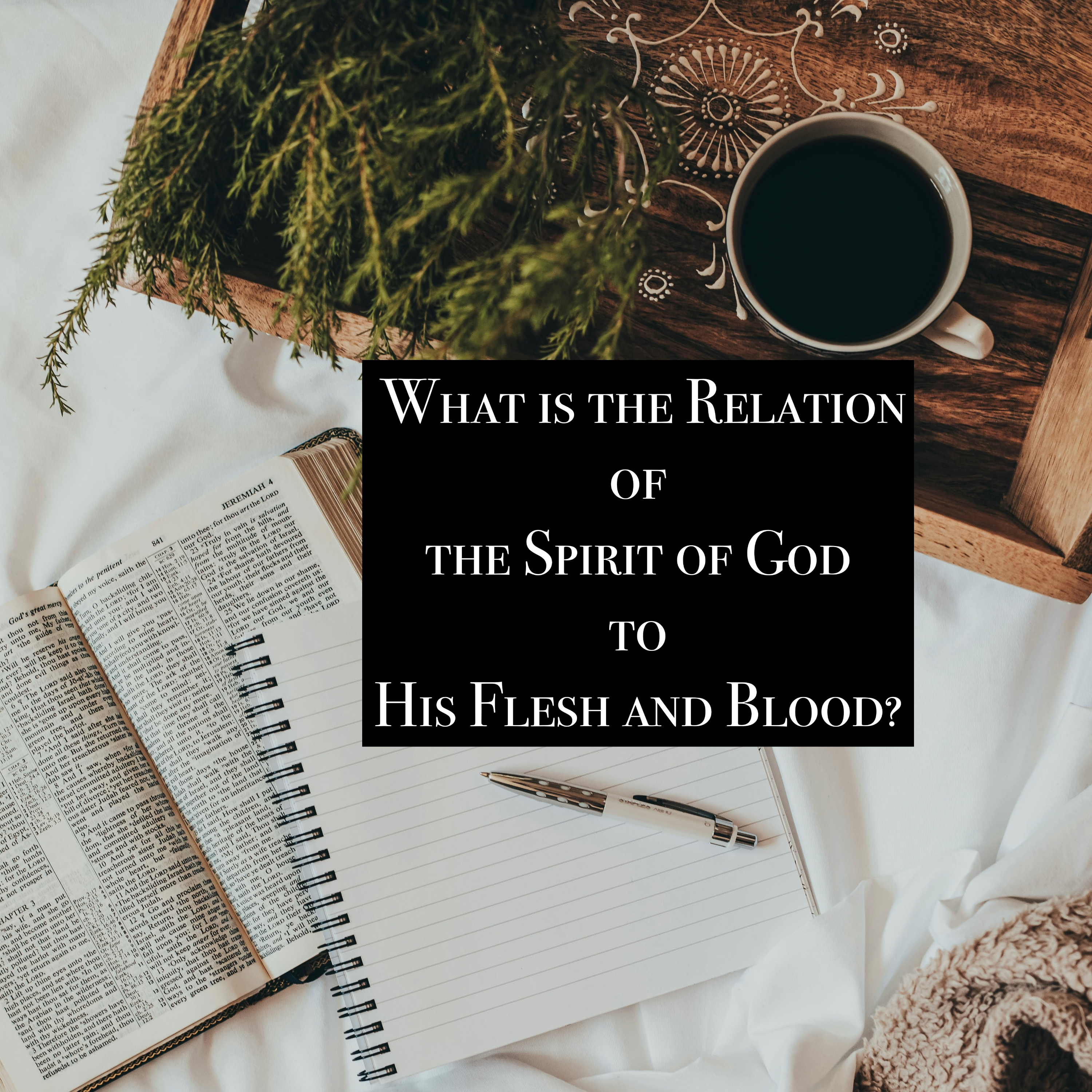 #48: What is the Relation of the Spirit of God to His Flesh and Blood?