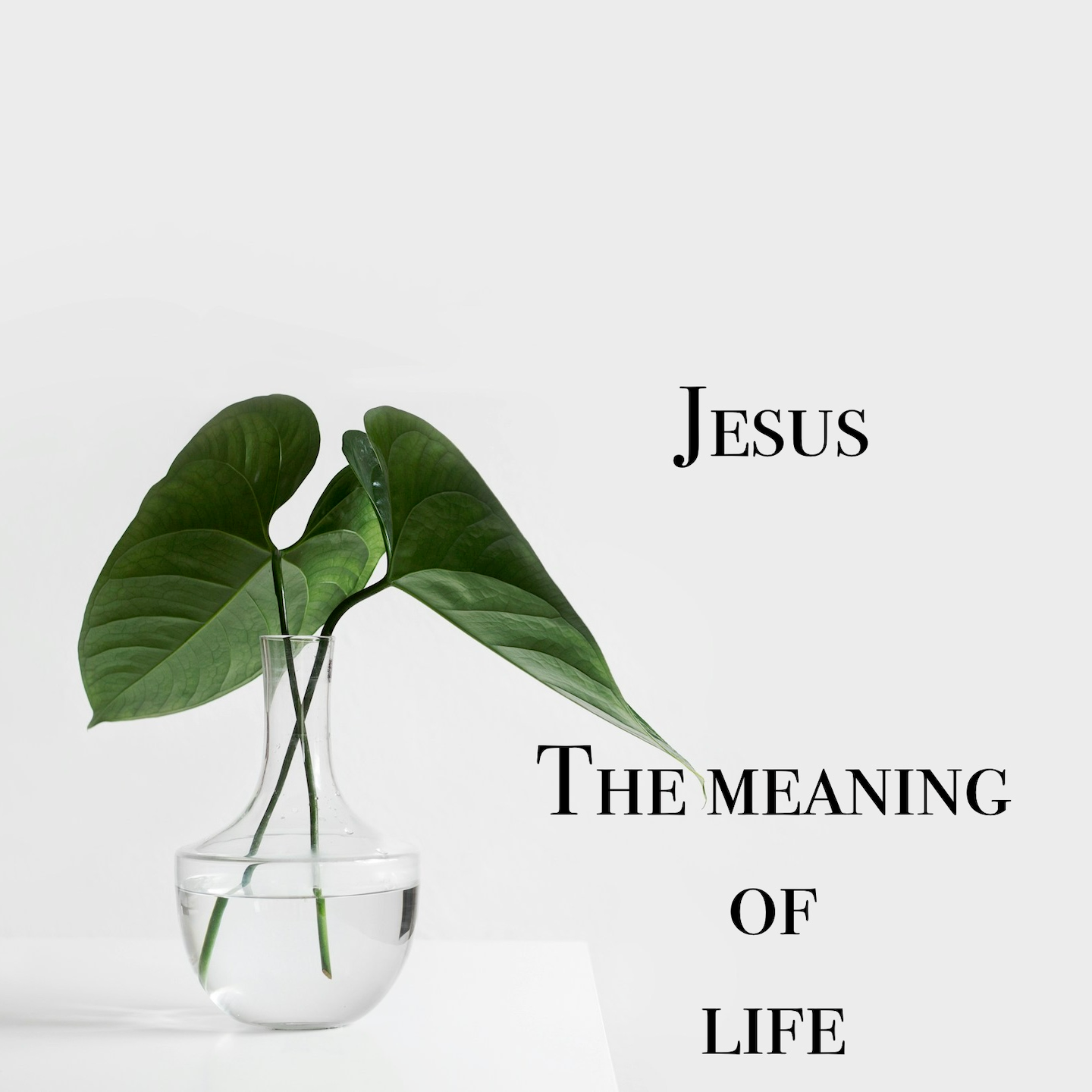 #72: Jesus: the Meaning of Life