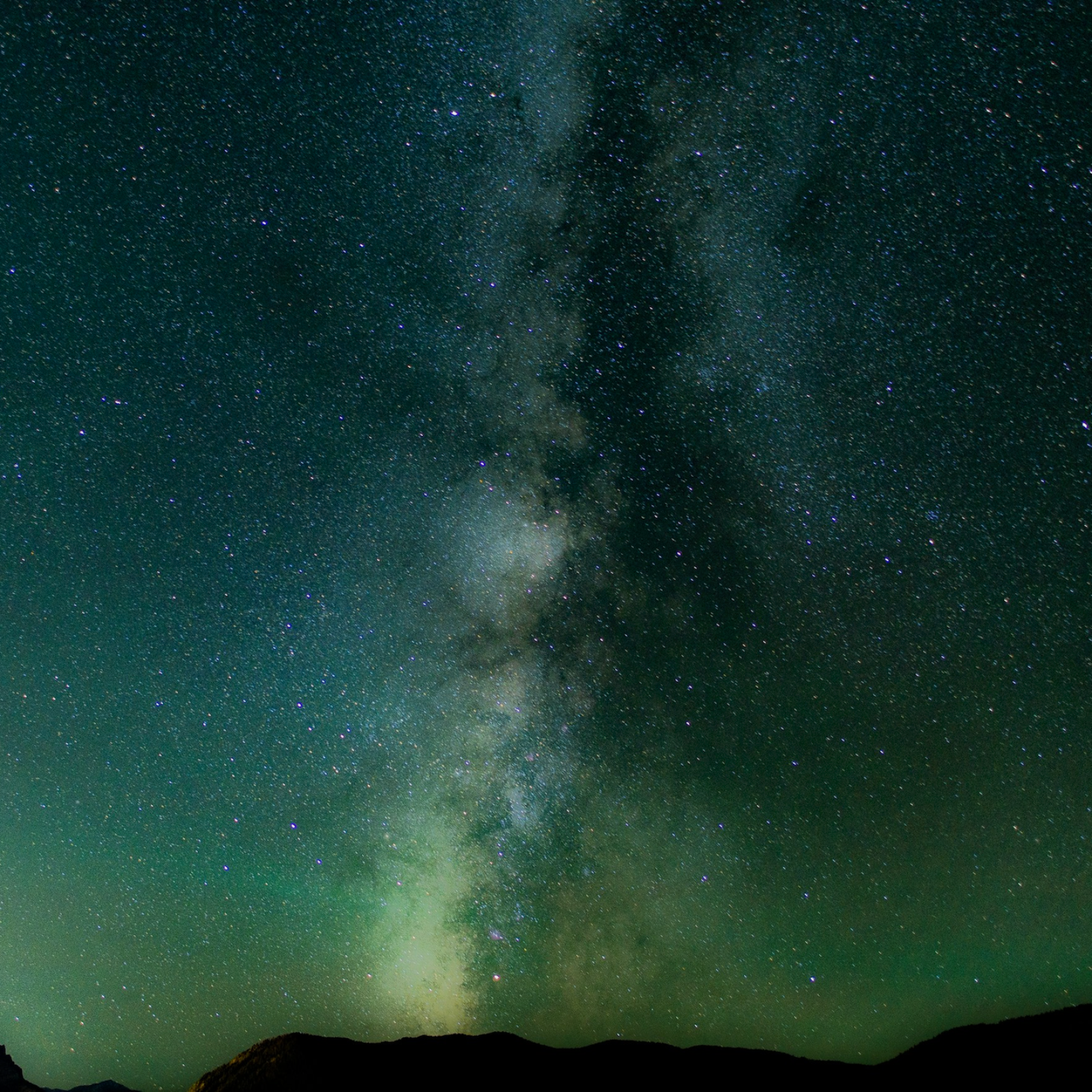 #134: Study What God has Made