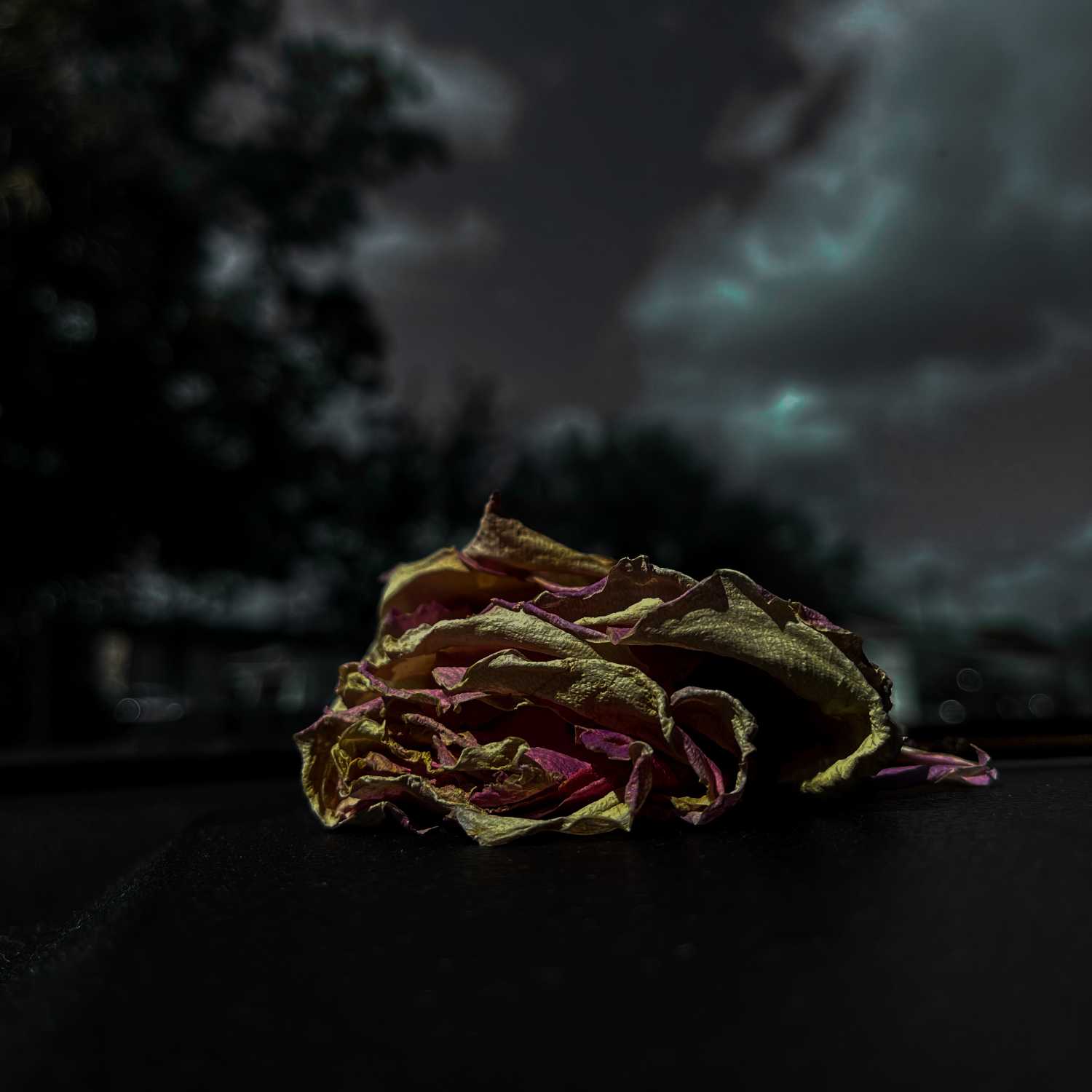 Shit this shit been cold lately  episode artwork