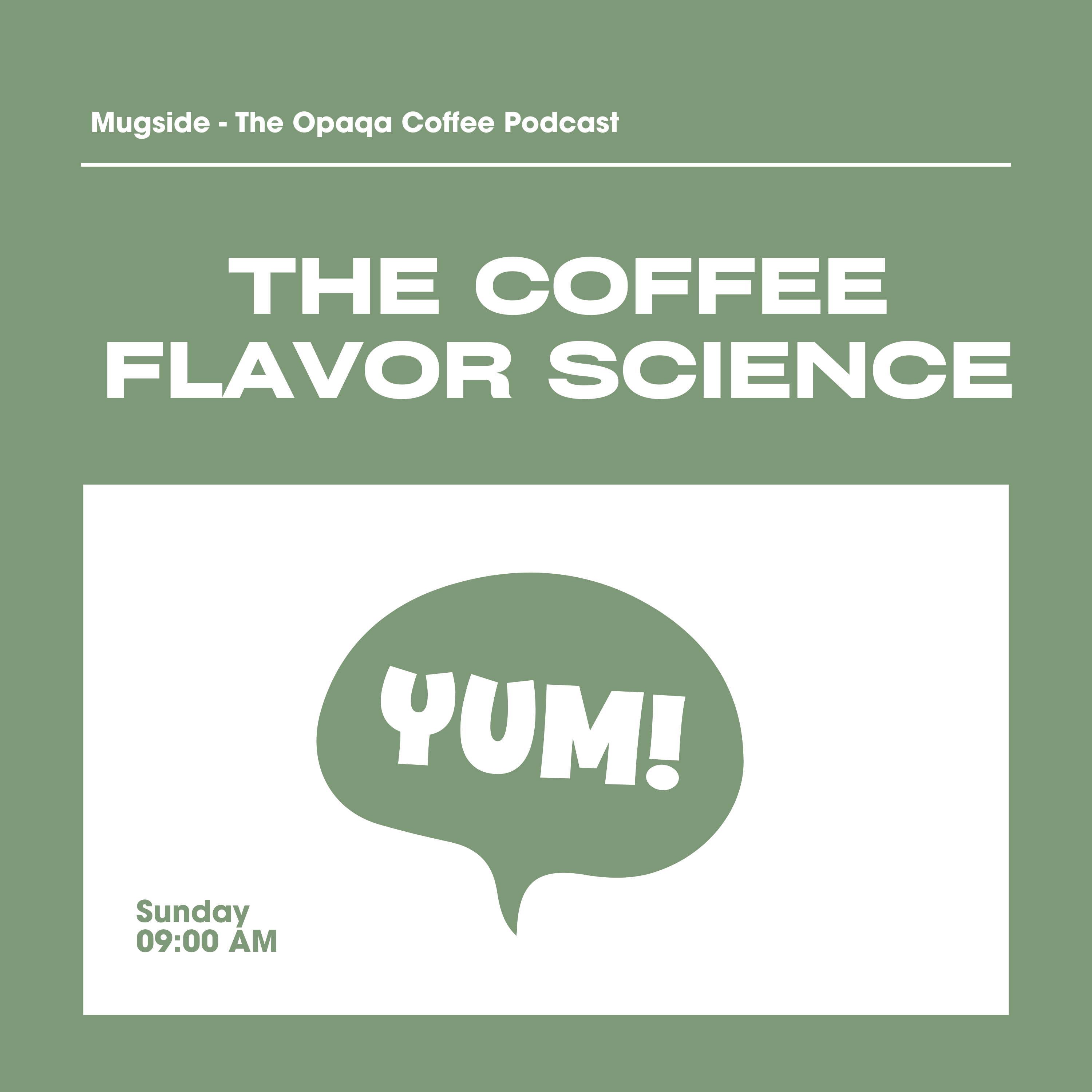 The Flavor Science