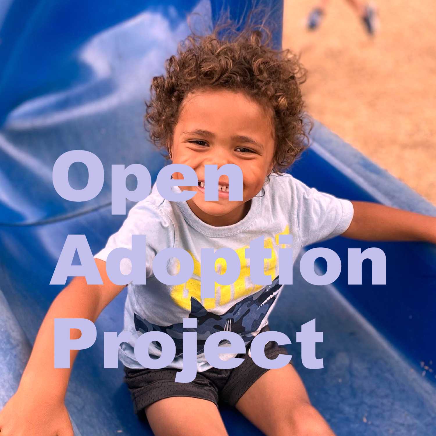 Open Adoption Project